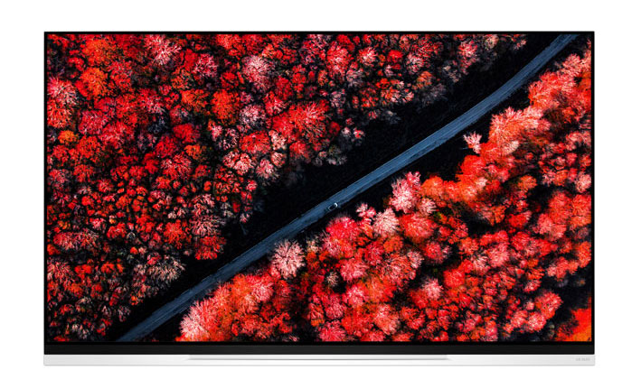 LG OLED E9