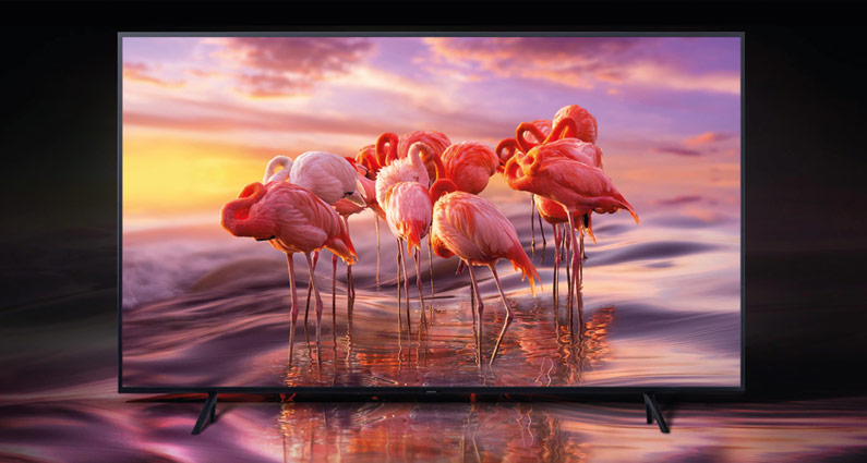 samsung qled 2019