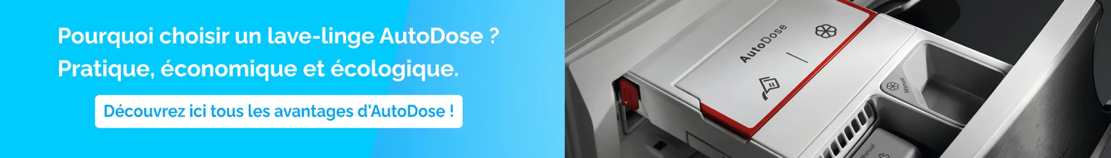 banner-image