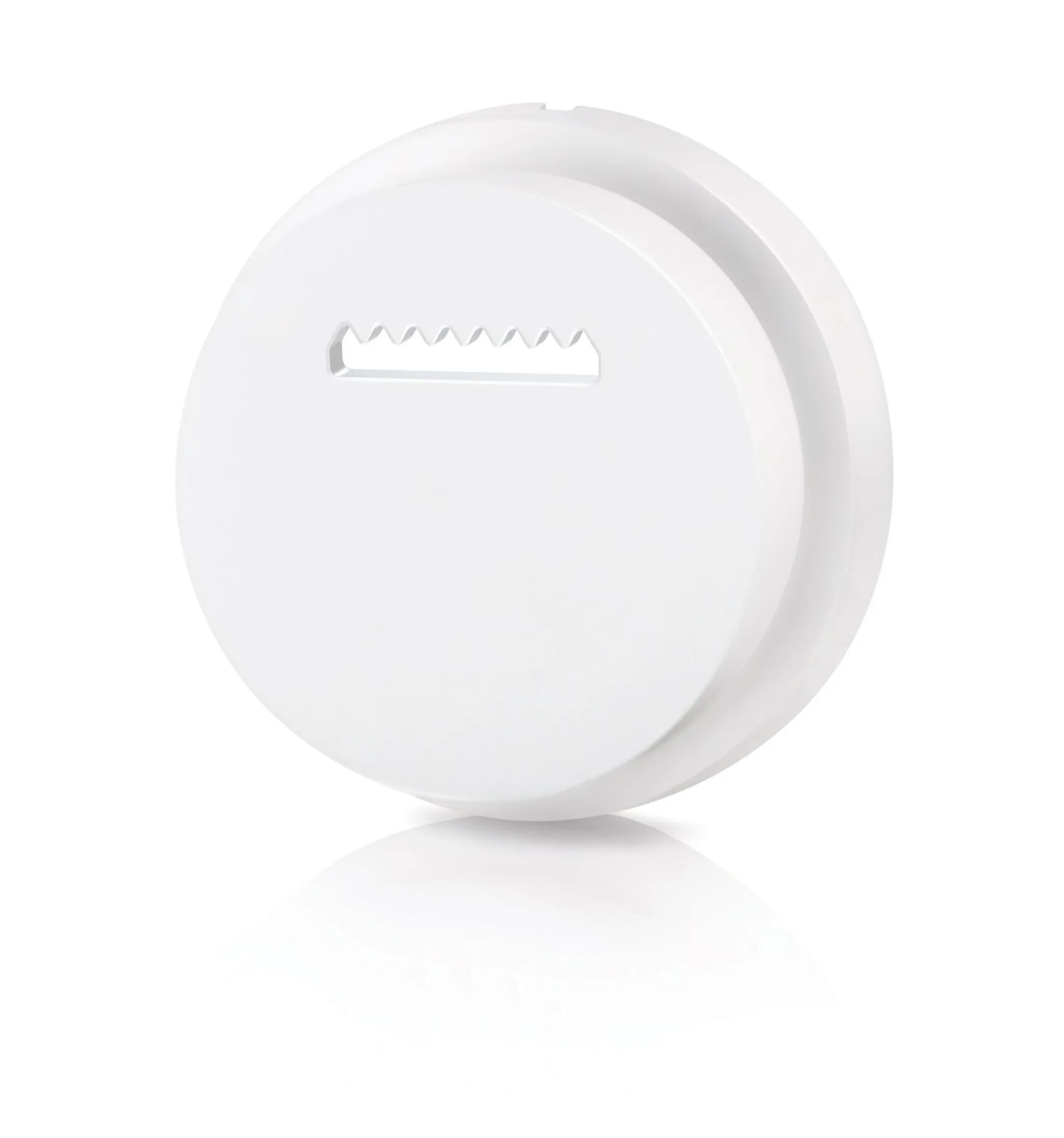 Philips Accessoire voor pastamachine HR2455/09 image