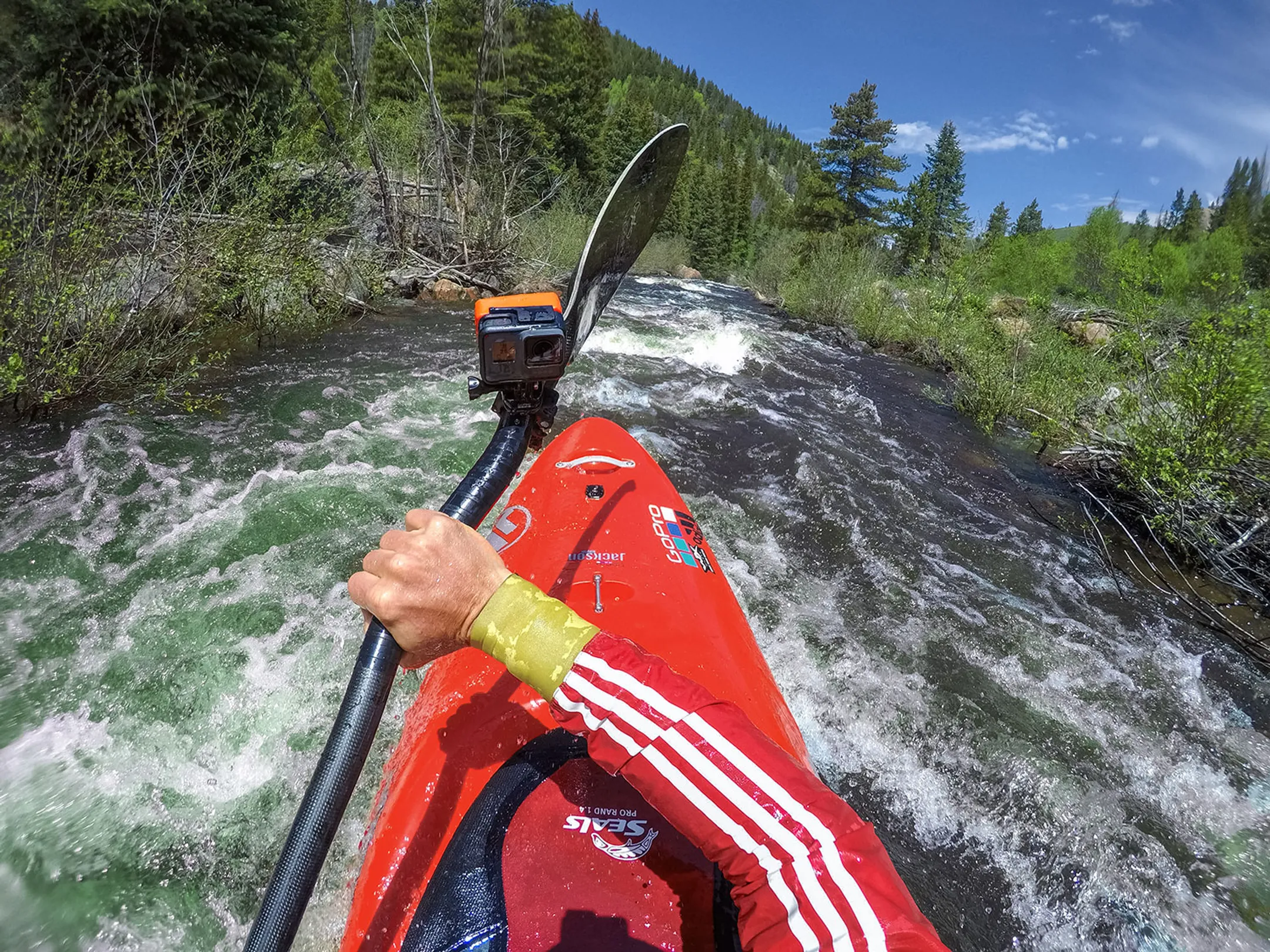 GoPro Grote diameter buisbevestiging image