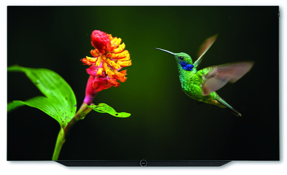 Loewe Tv Bild 755 Oled Graphite Grey Set 55 Inch loewe kopen in de aanbieding