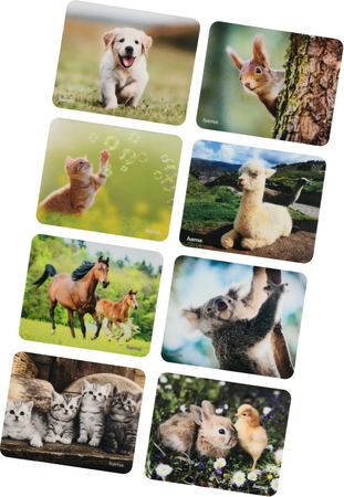 Dier (16 stuks in display) - 54790