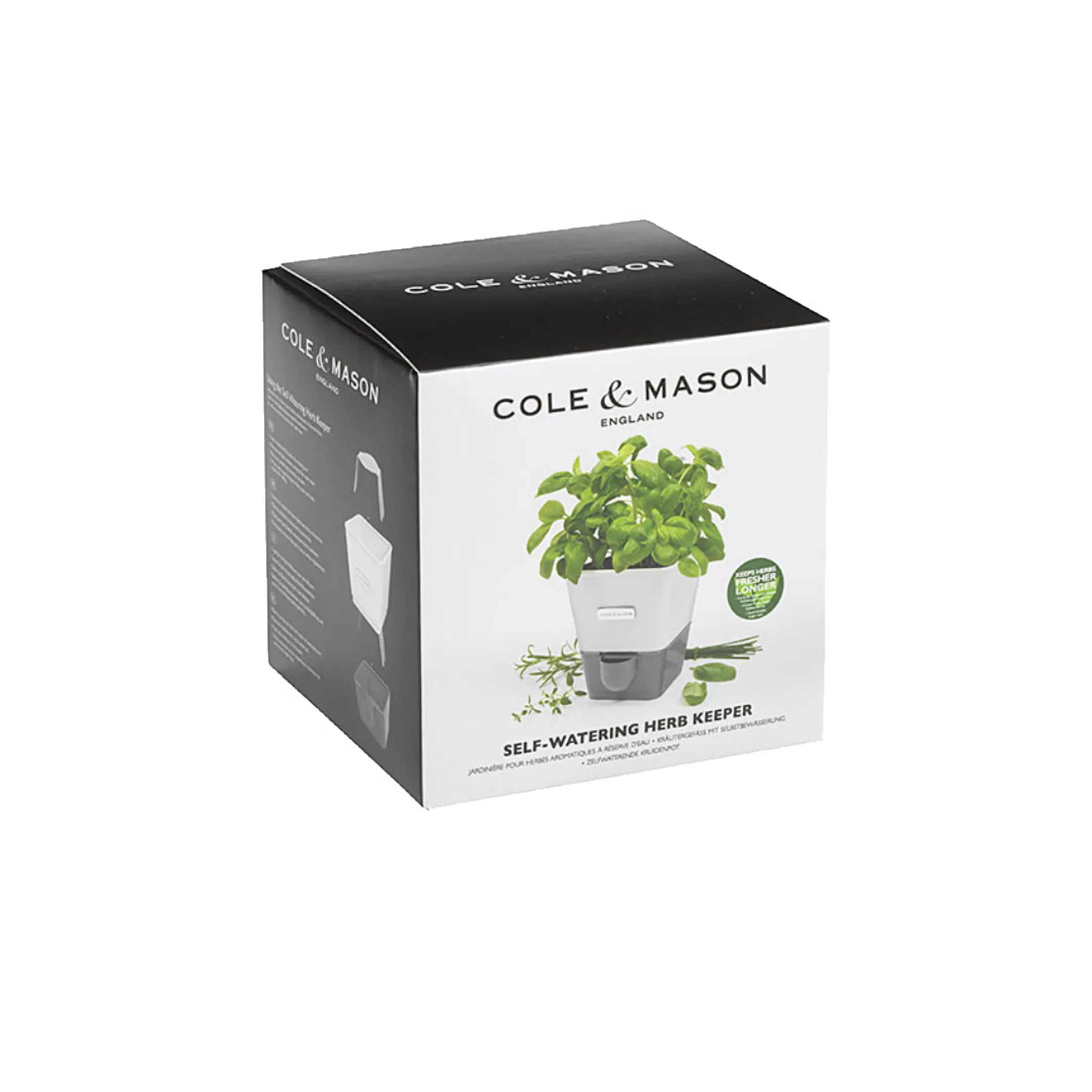 Cole&Mason Jardinière avec réserve d'eau image