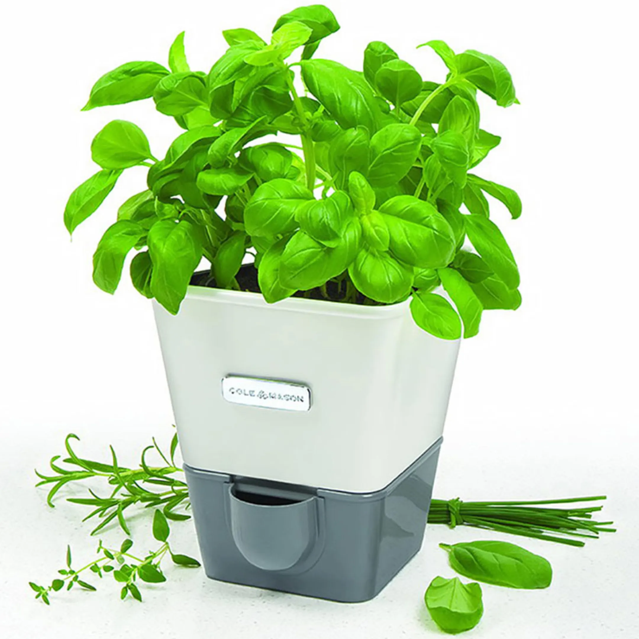 Jardinière avec réserve d'eau
