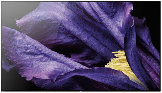 Sony Tv Kd 65Af9 Oled 65 Inch sony kopen in de aanbieding