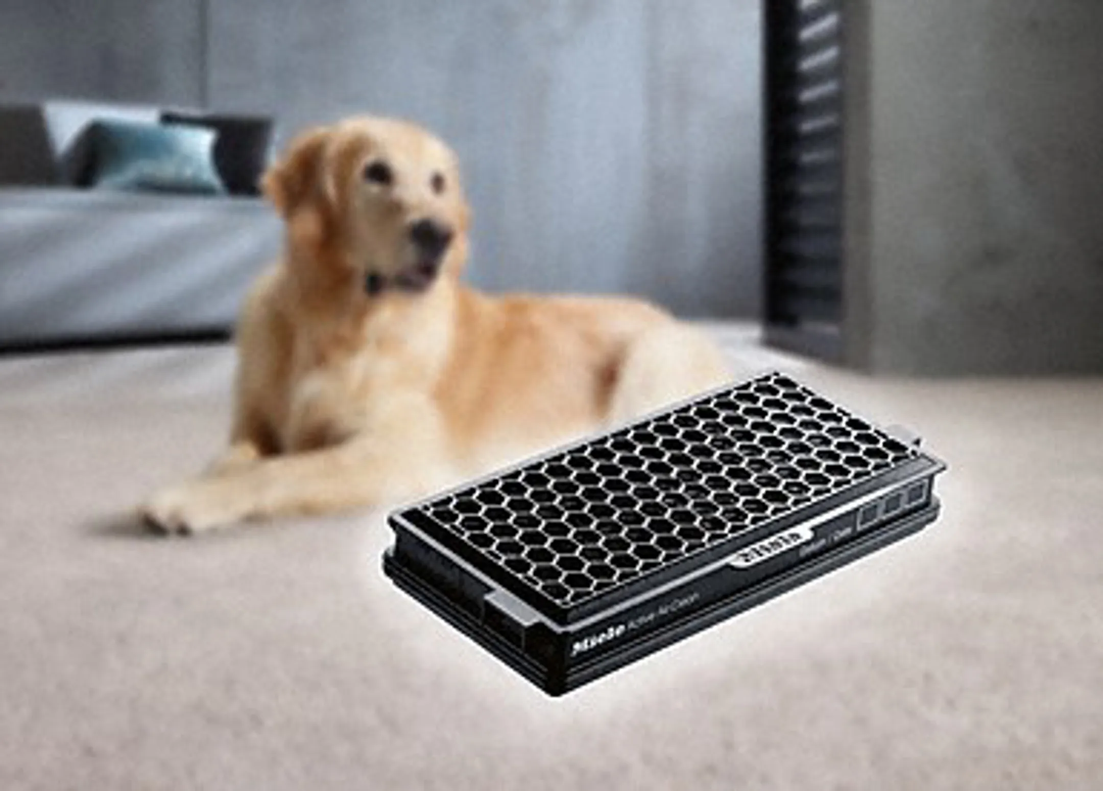 Miele Kit Cat & Dog XL HyClean-stofzakken 3D  image