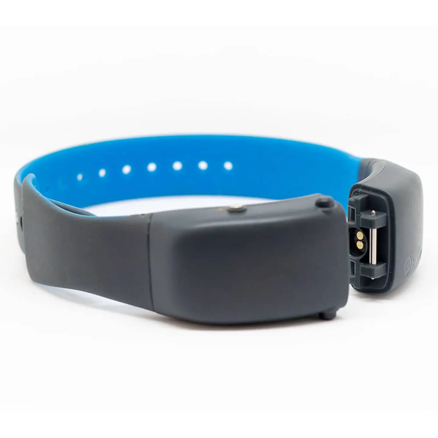 Tractive GPS Tracker Halsband Kat met veiligheidsslot Bestel nu