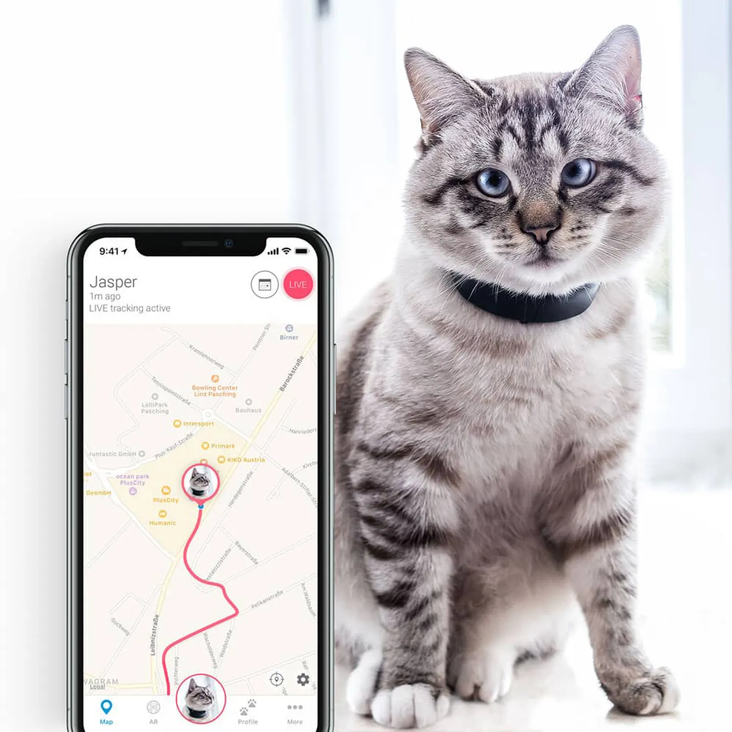 Tractive GPS Tracker Halsband Kat met veiligheidsslot Bestel nu