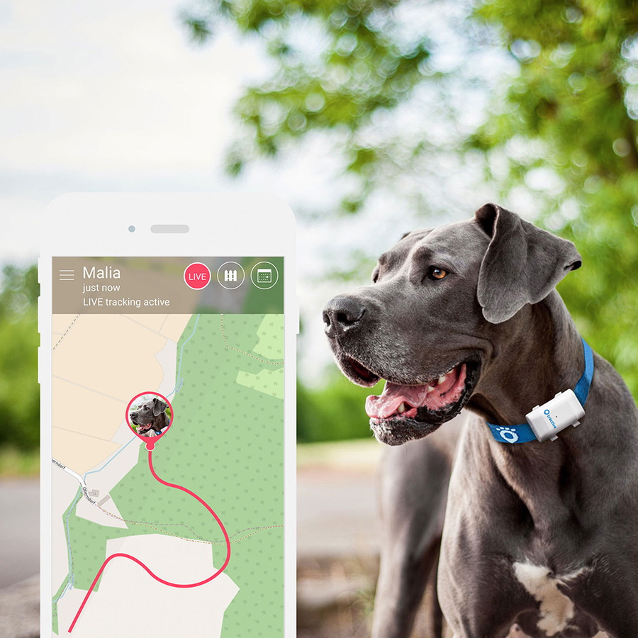 Tractive Traqueur GPS pour chien de grande taille Krëfel les meilleurs prix, service compris
