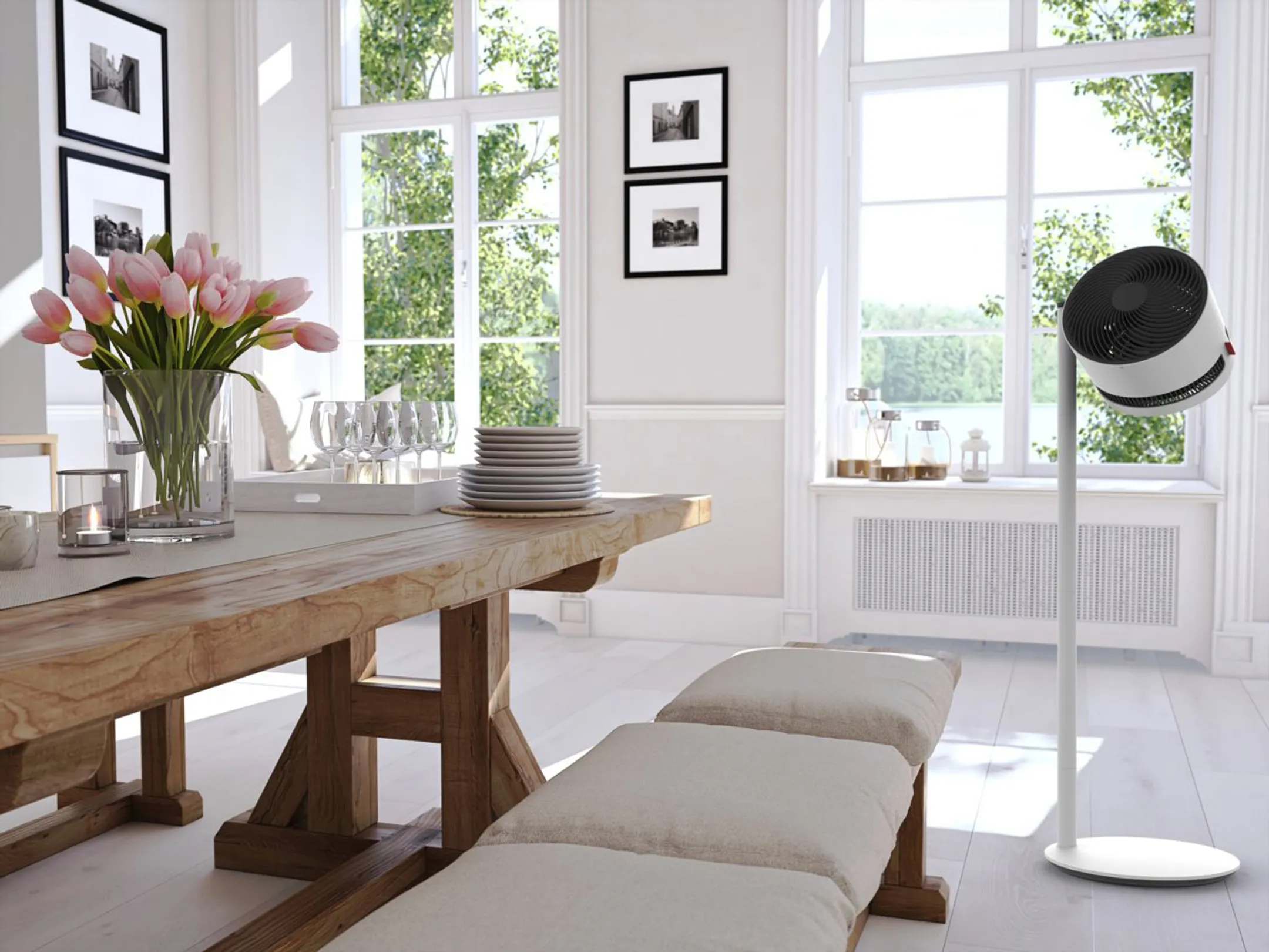 Boneco Ventilator F230 image