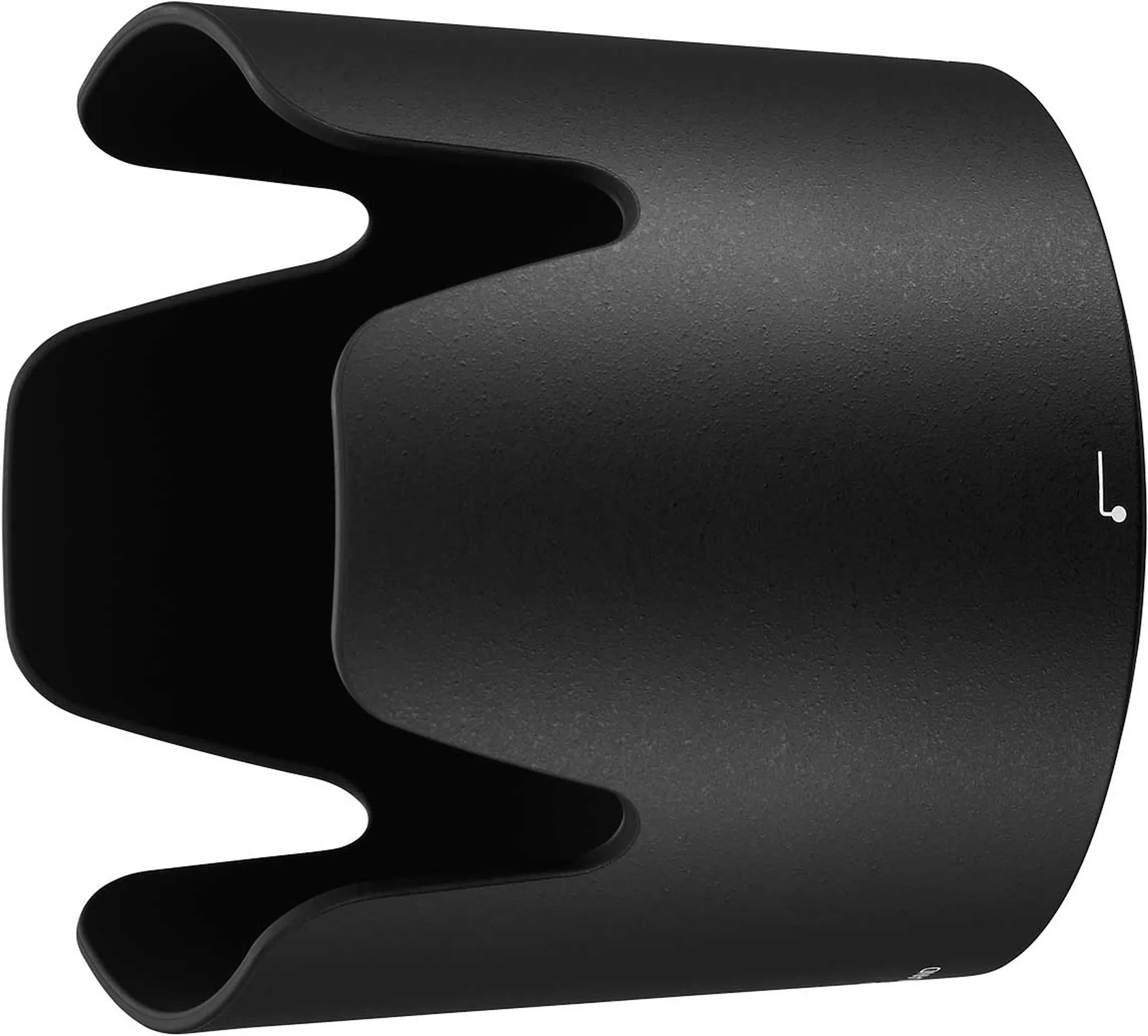 Nikon AF-P NIKKOR 70 - 300 mm f/4.5-5.6E ED VR image