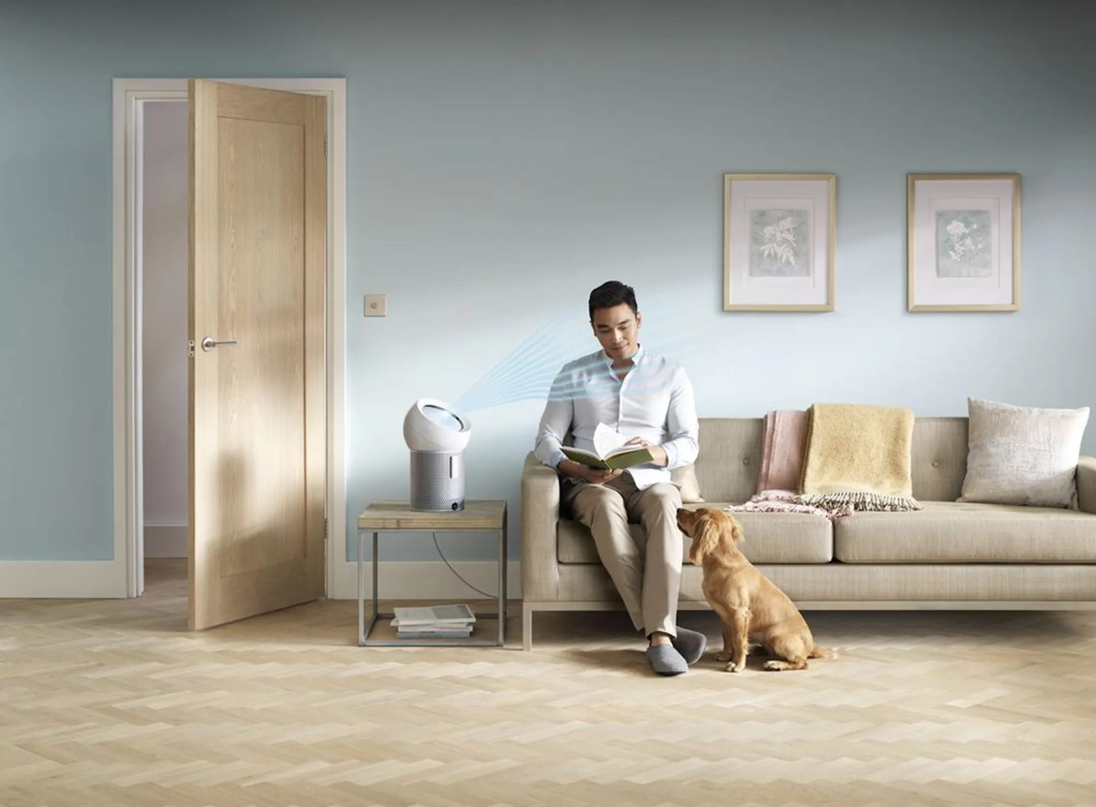 Dyson Luchtreiniger Pure Cool Me BP01 image