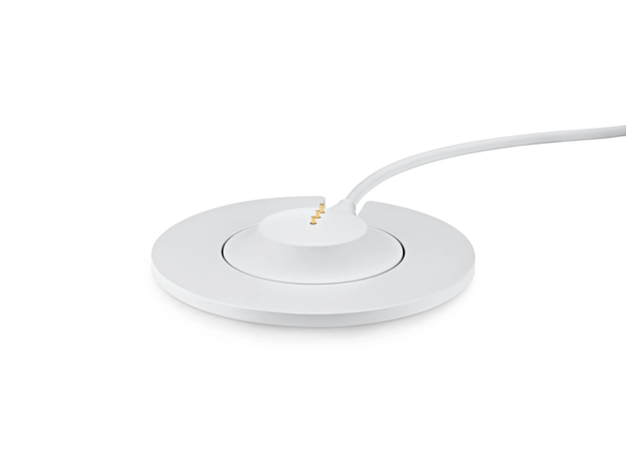 Bose Portable Home Speaker - Luxe Silver image