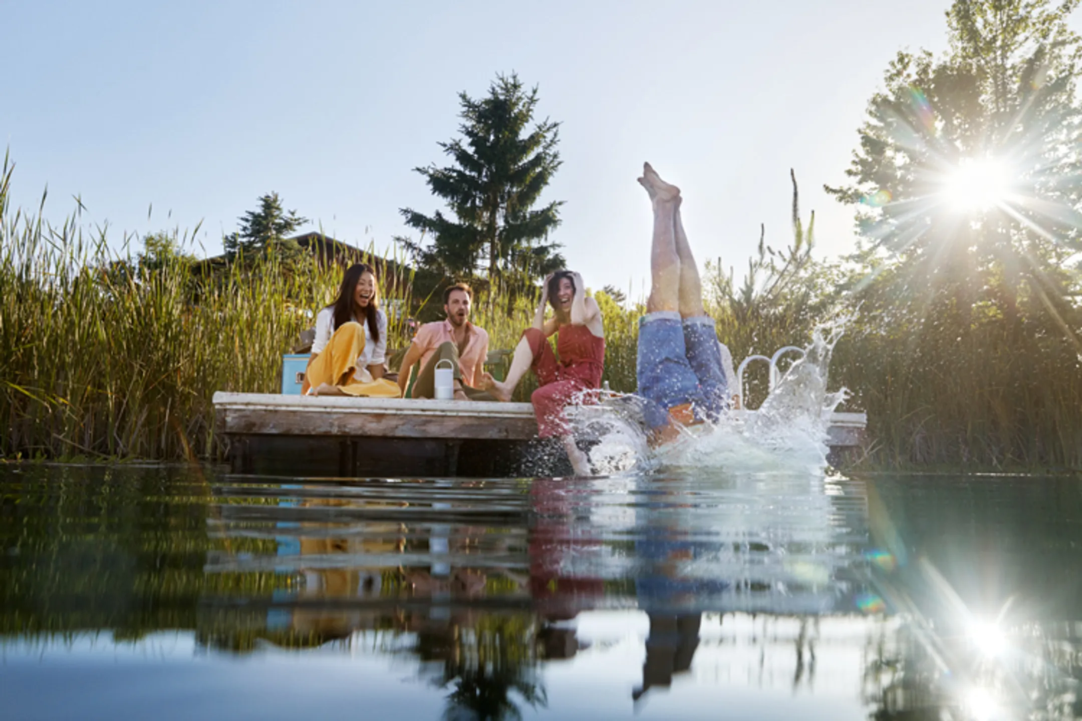 Bose Portable Home Speaker - Luxe Silver image