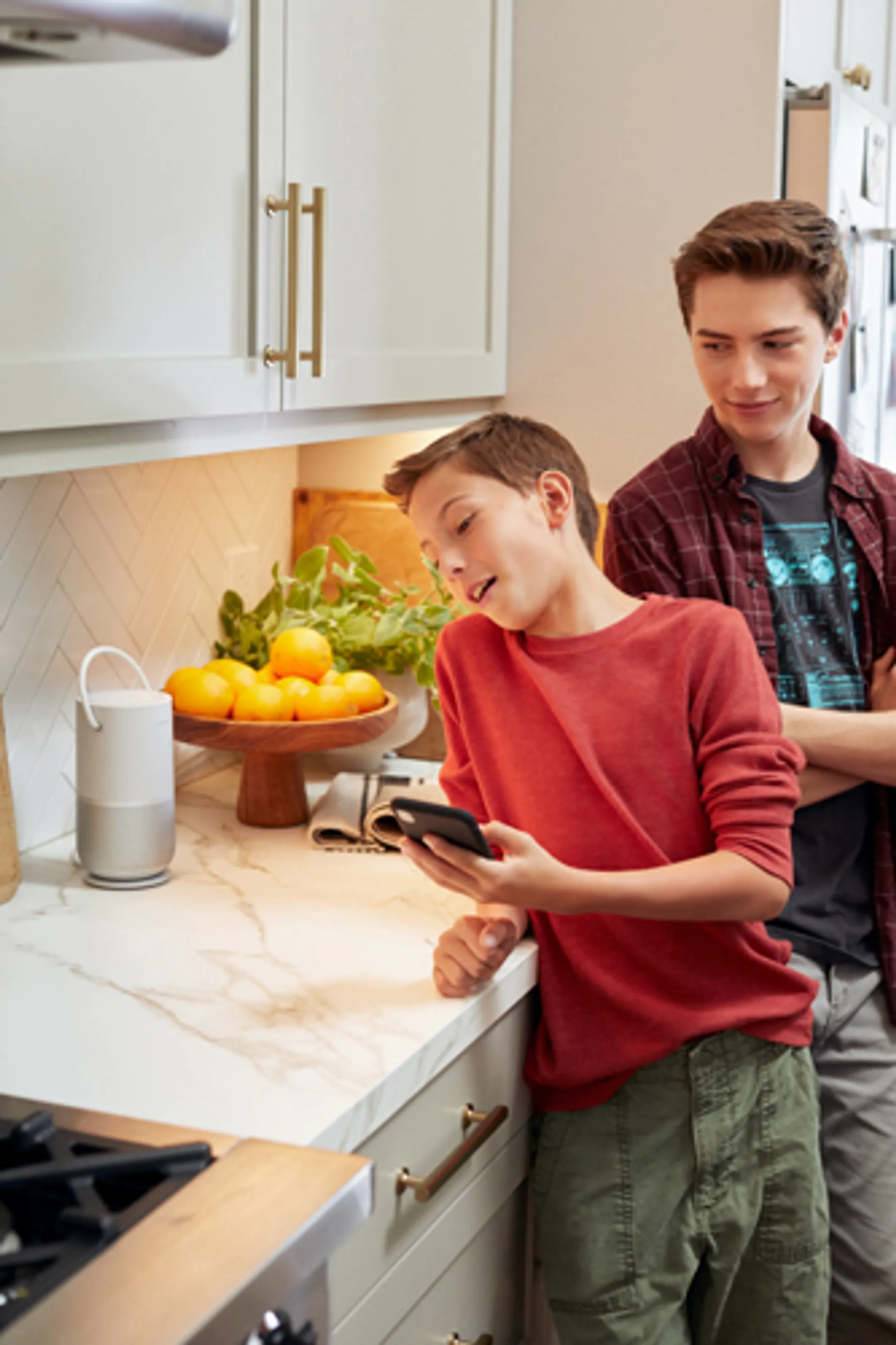 Bose Portable Home Speaker - Luxe Silver image