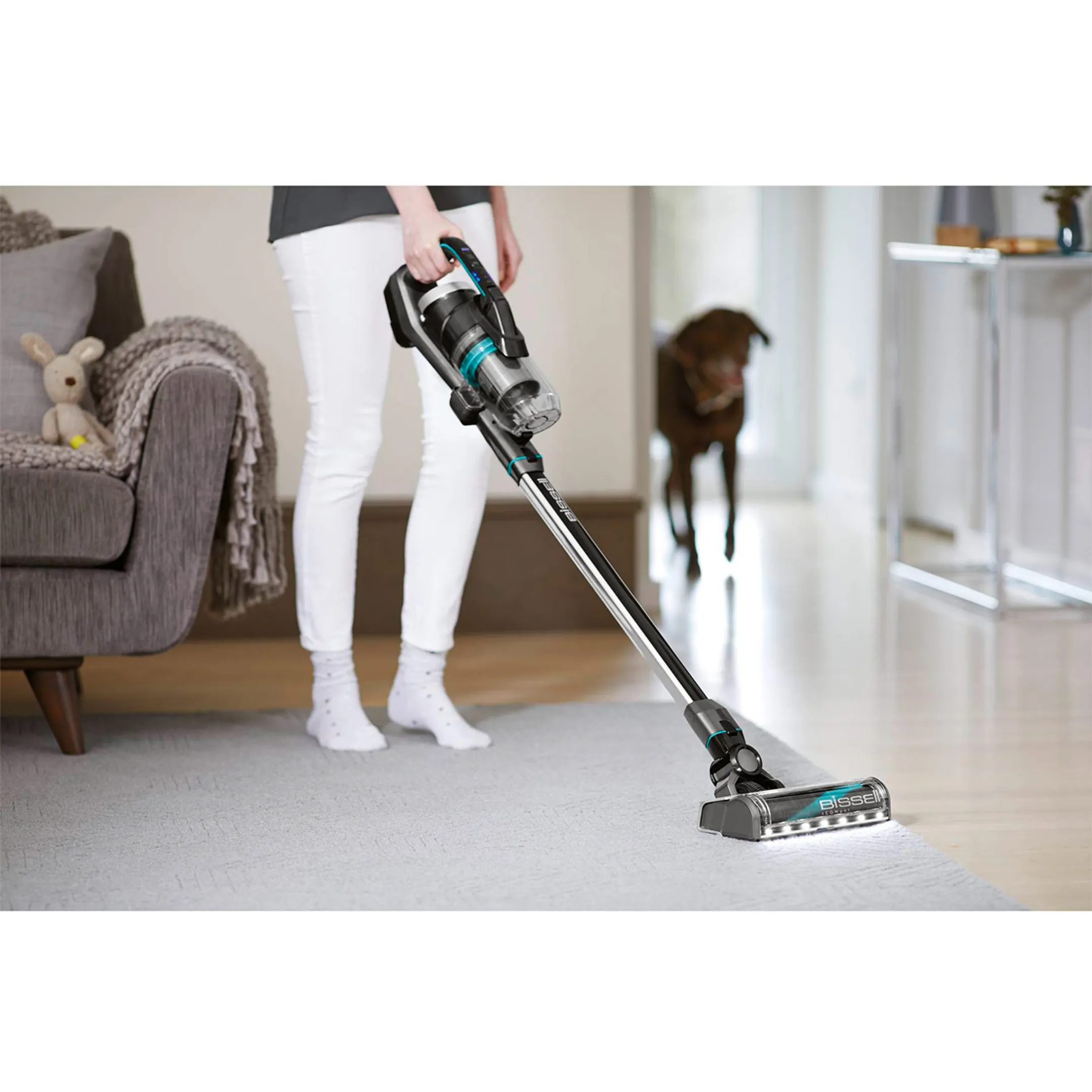 Bissell Steelstofzuiger 2602 Icon Pet image