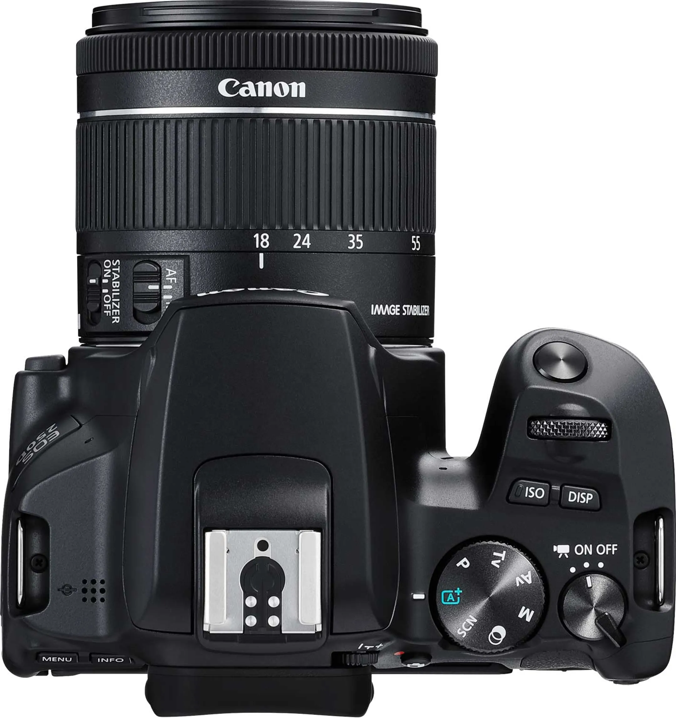 Canon EOS 250D + 18-55 mm f/4-5.6 IS STM image