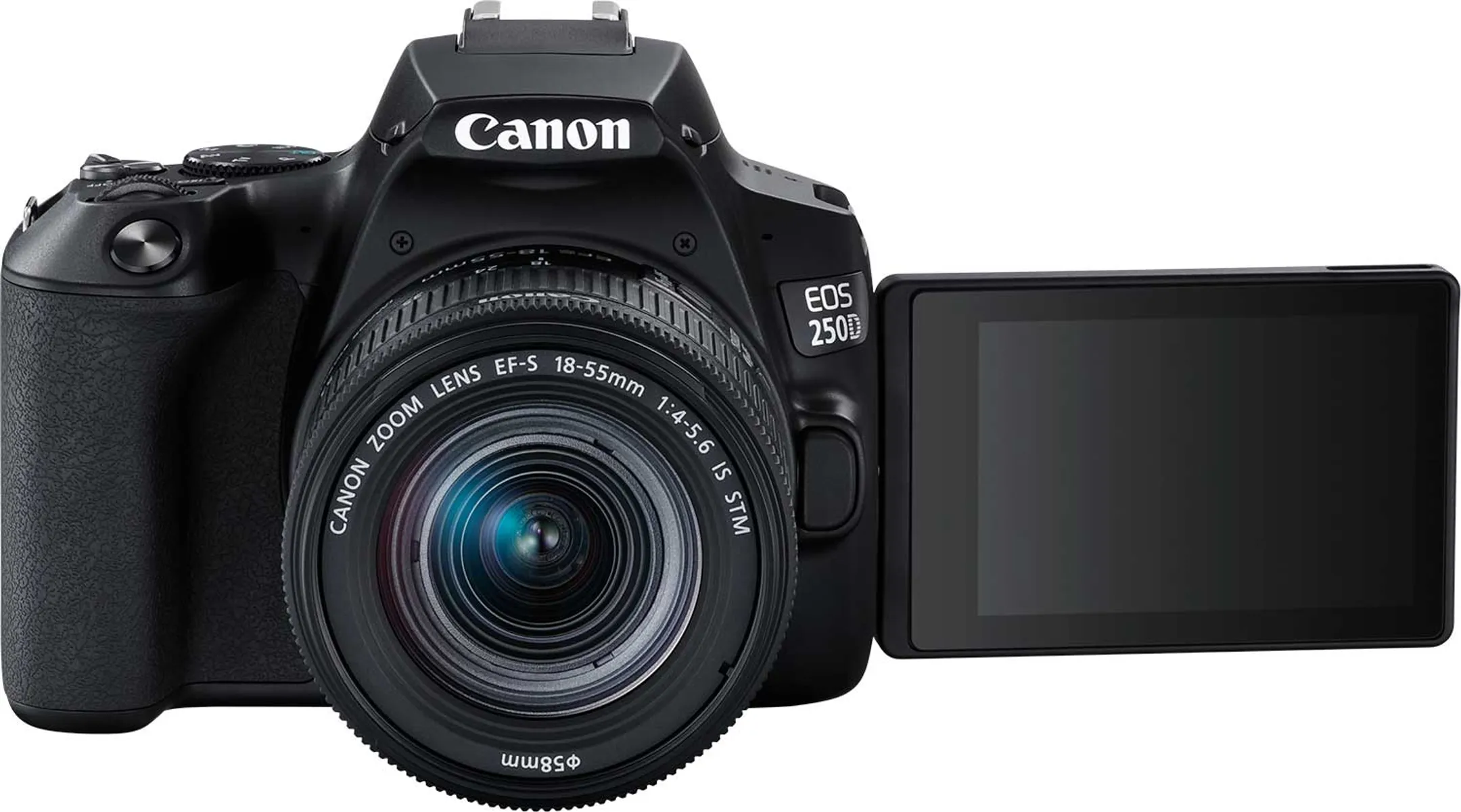 Canon EOS 250D + 18-55 mm f/4-5.6 IS STM image