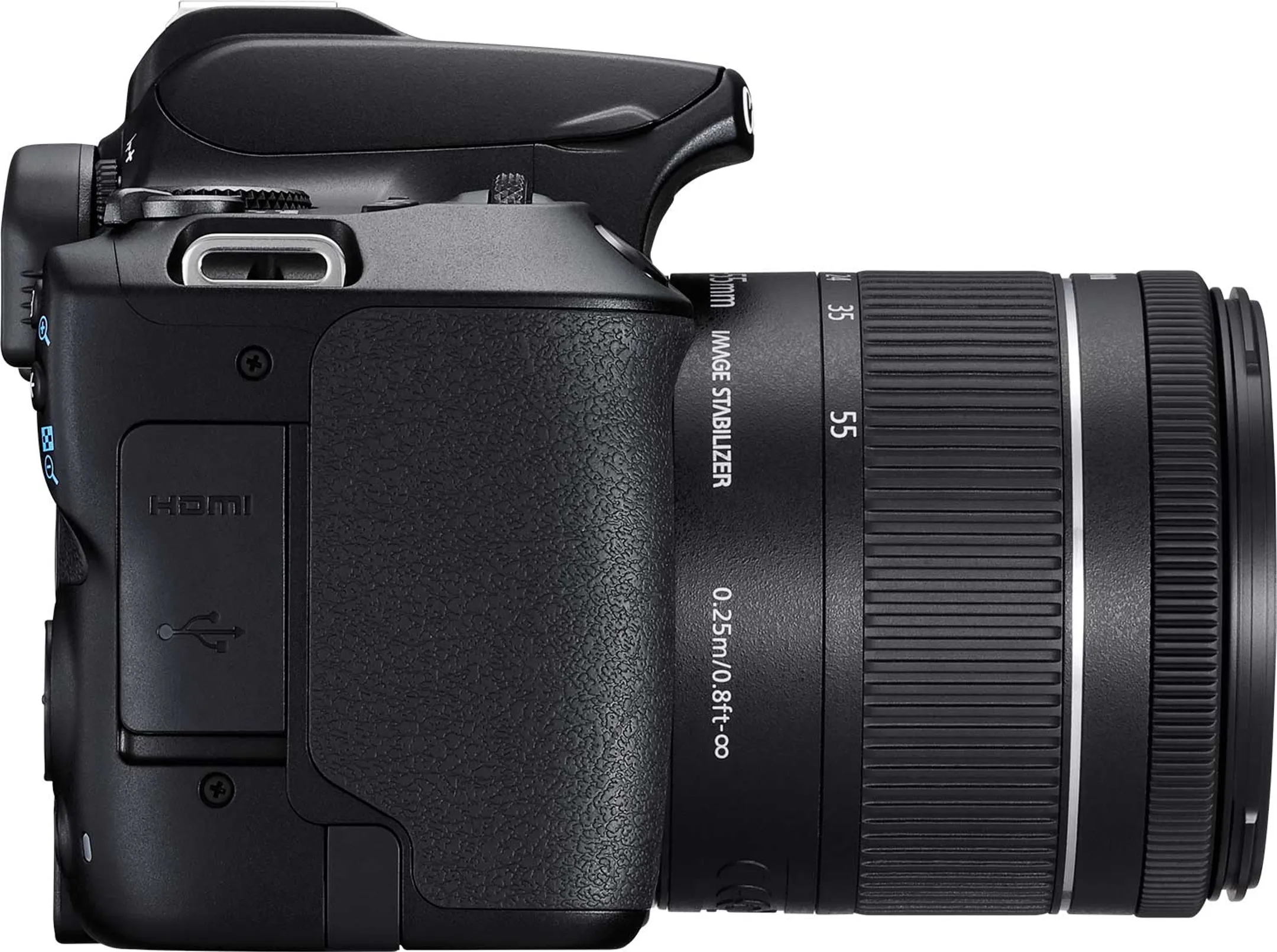 Canon EOS 250D + 18-55 mm f/4-5.6 IS STM image