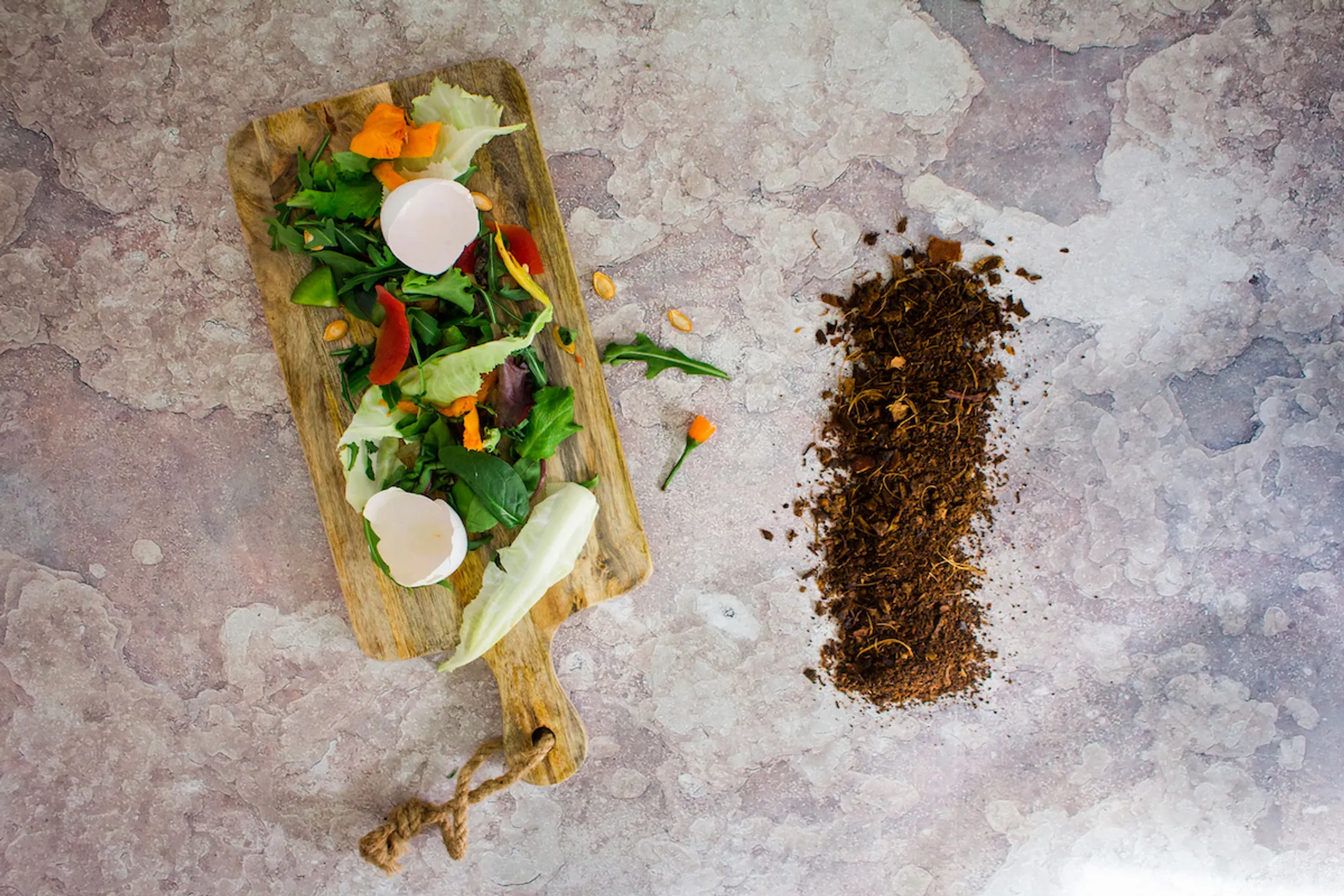 FRITEL The Mini Mulch Food Waste Reducer image