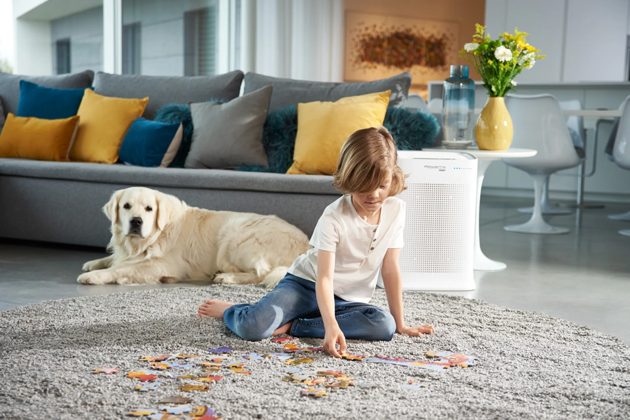 Rowenta Purificateur d'air Pure Air Genius PU3080 image