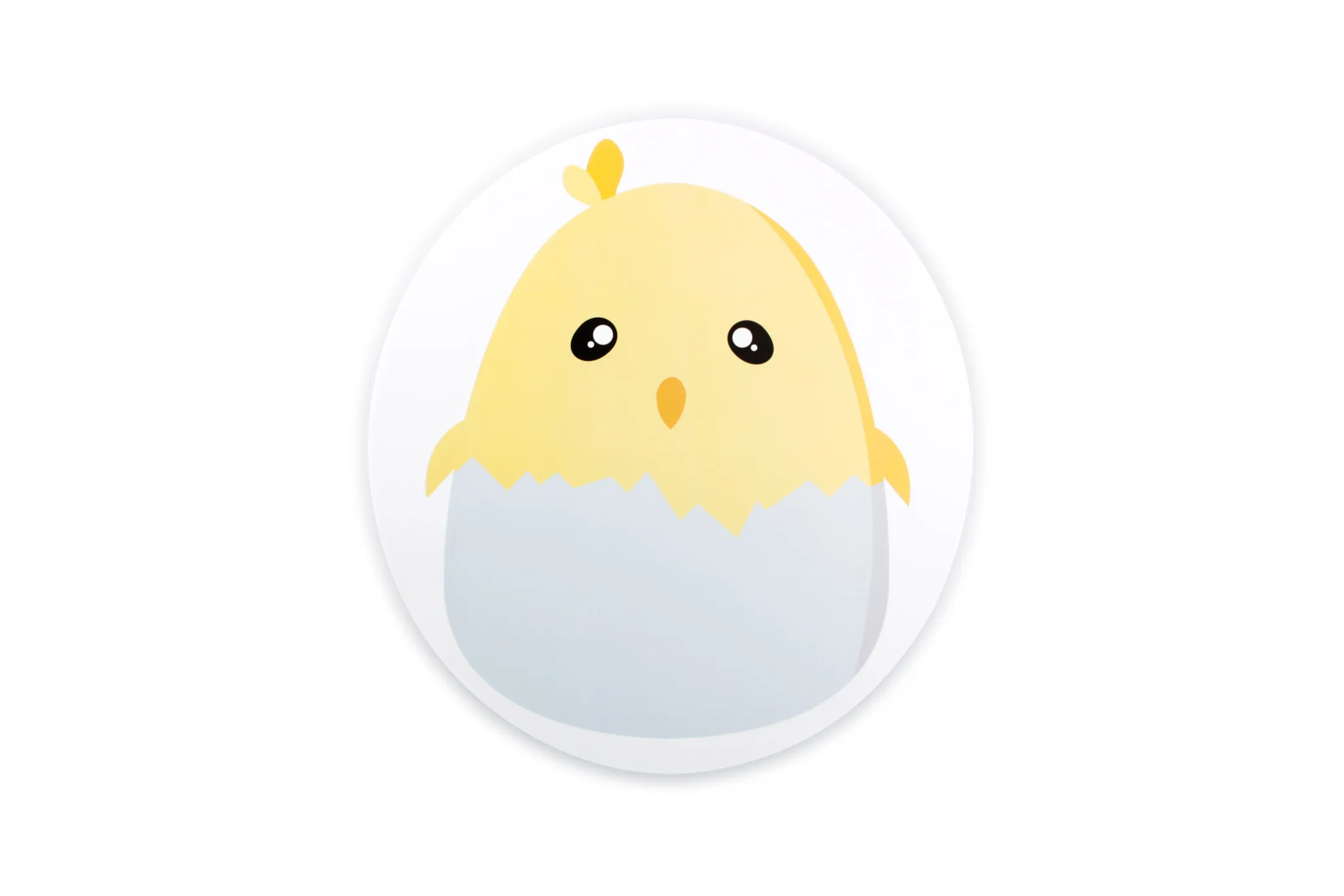 SET DE TABLE 38X35CM KIDS BABY CHICK