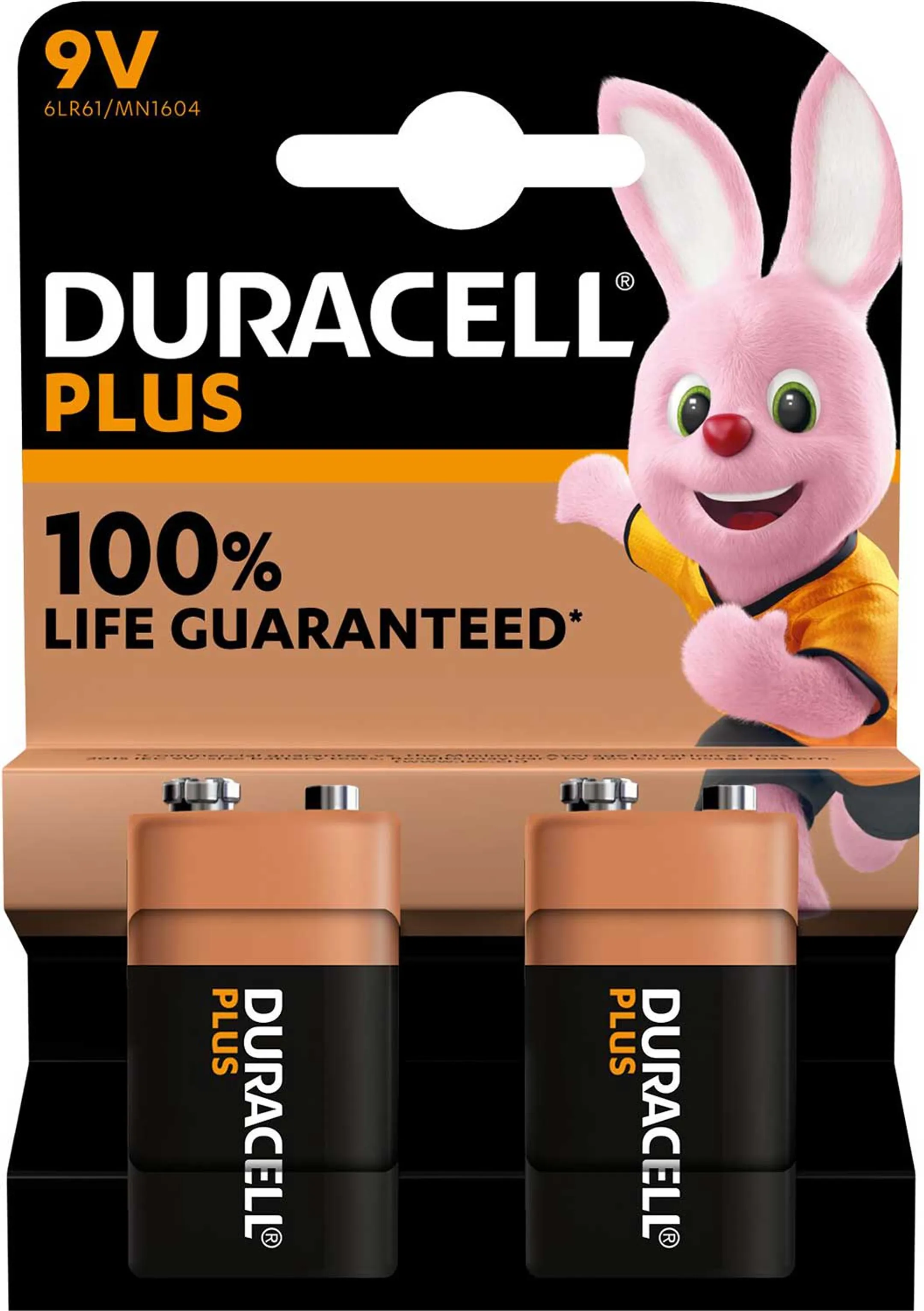 Plus 2x batteries 9V
