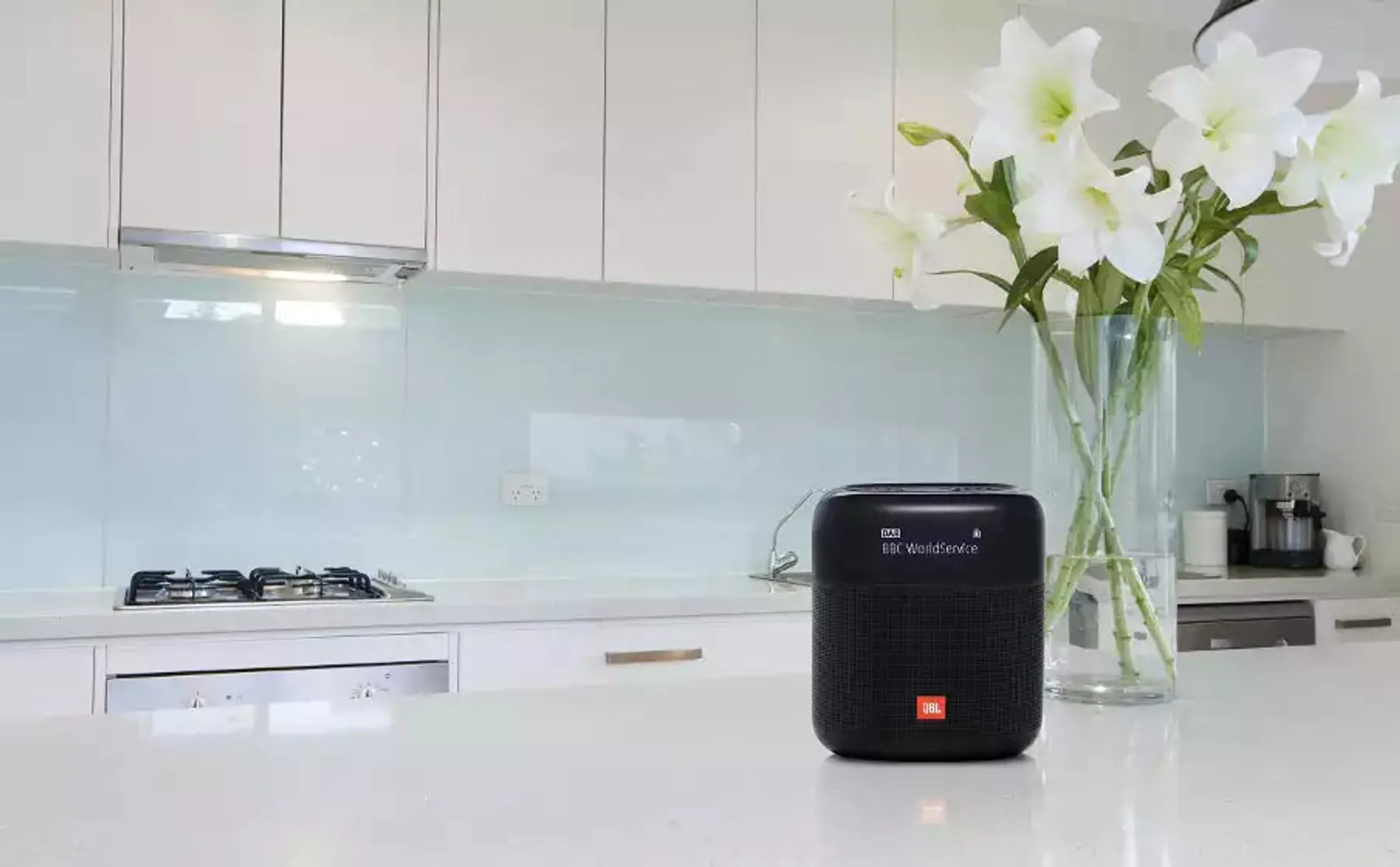 JBL Draagbare DAB+ radio - Tuner XL - Zwart image