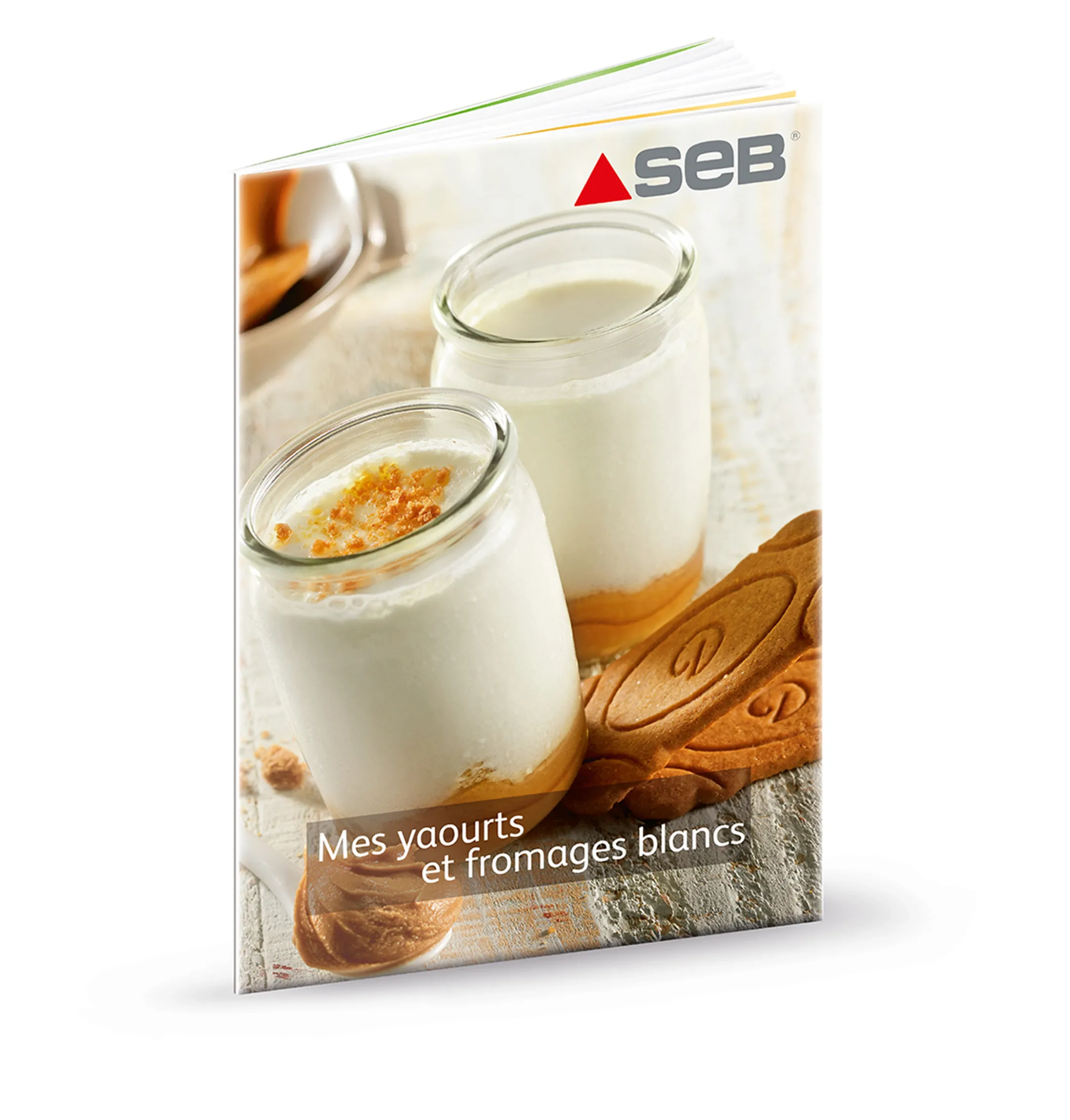 SEB LA YAOURTIERE 2 YG500100 image