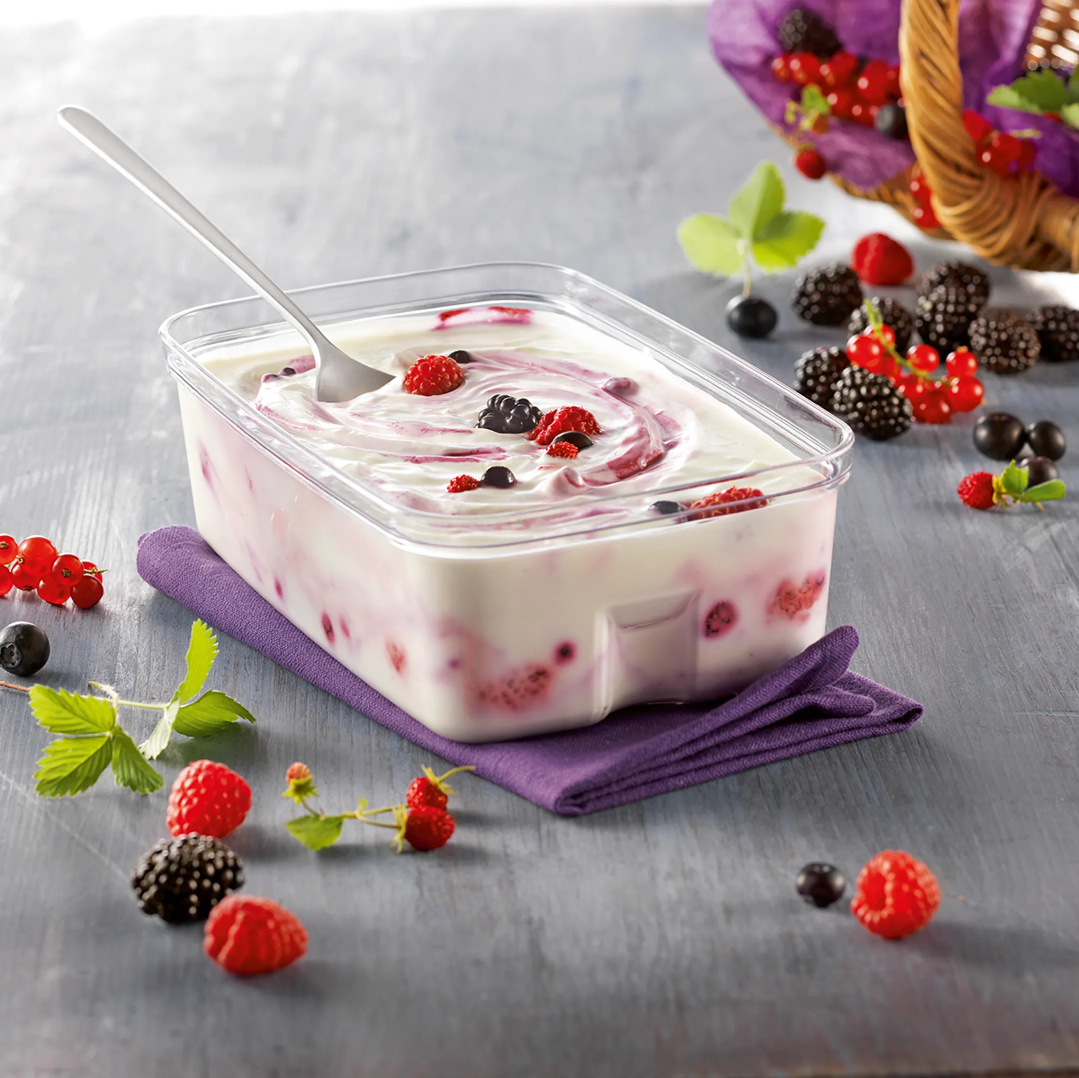 SEB LA YAOURTIERE 2 YG500100 image