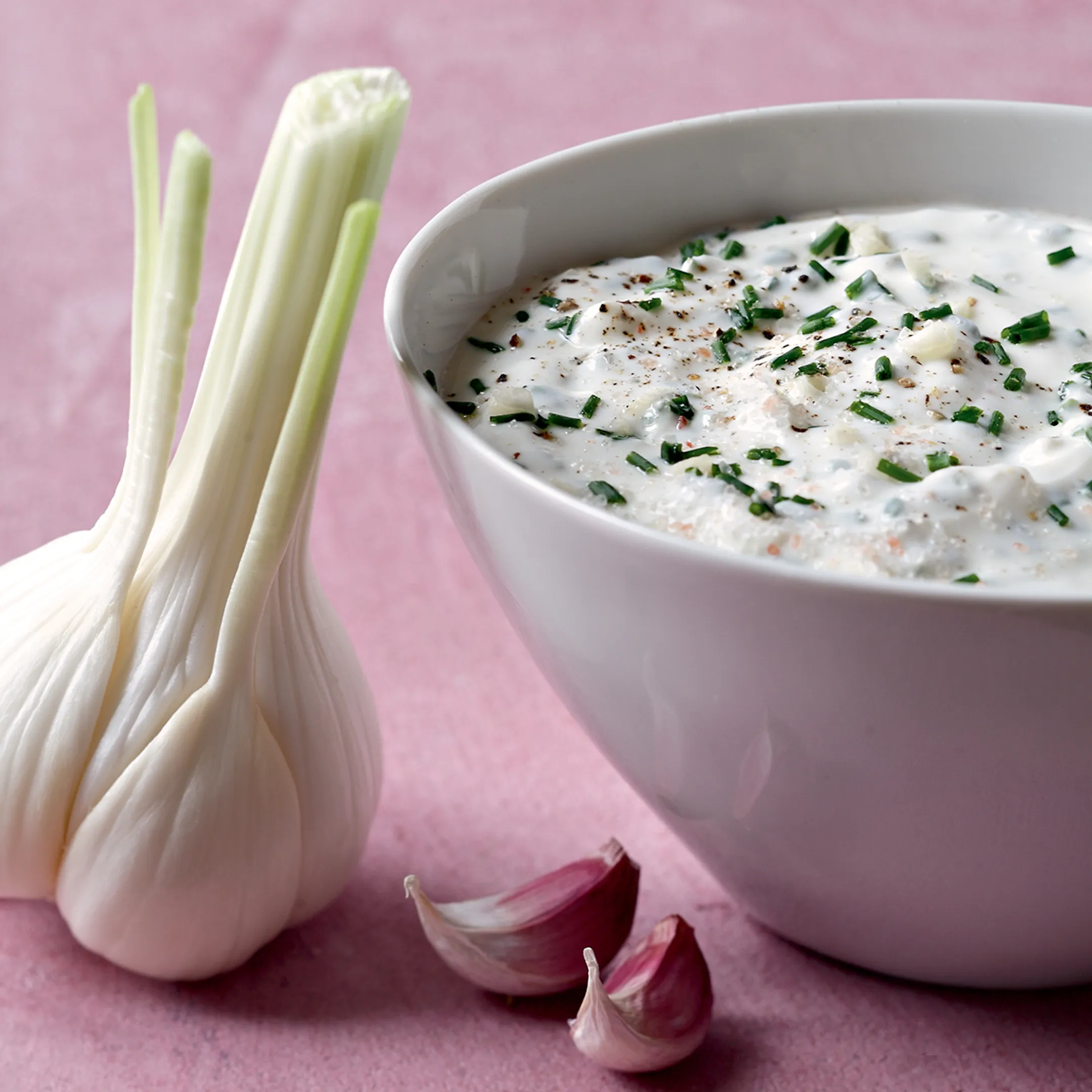 SEB LA YAOURTIERE 2 YG500100 image