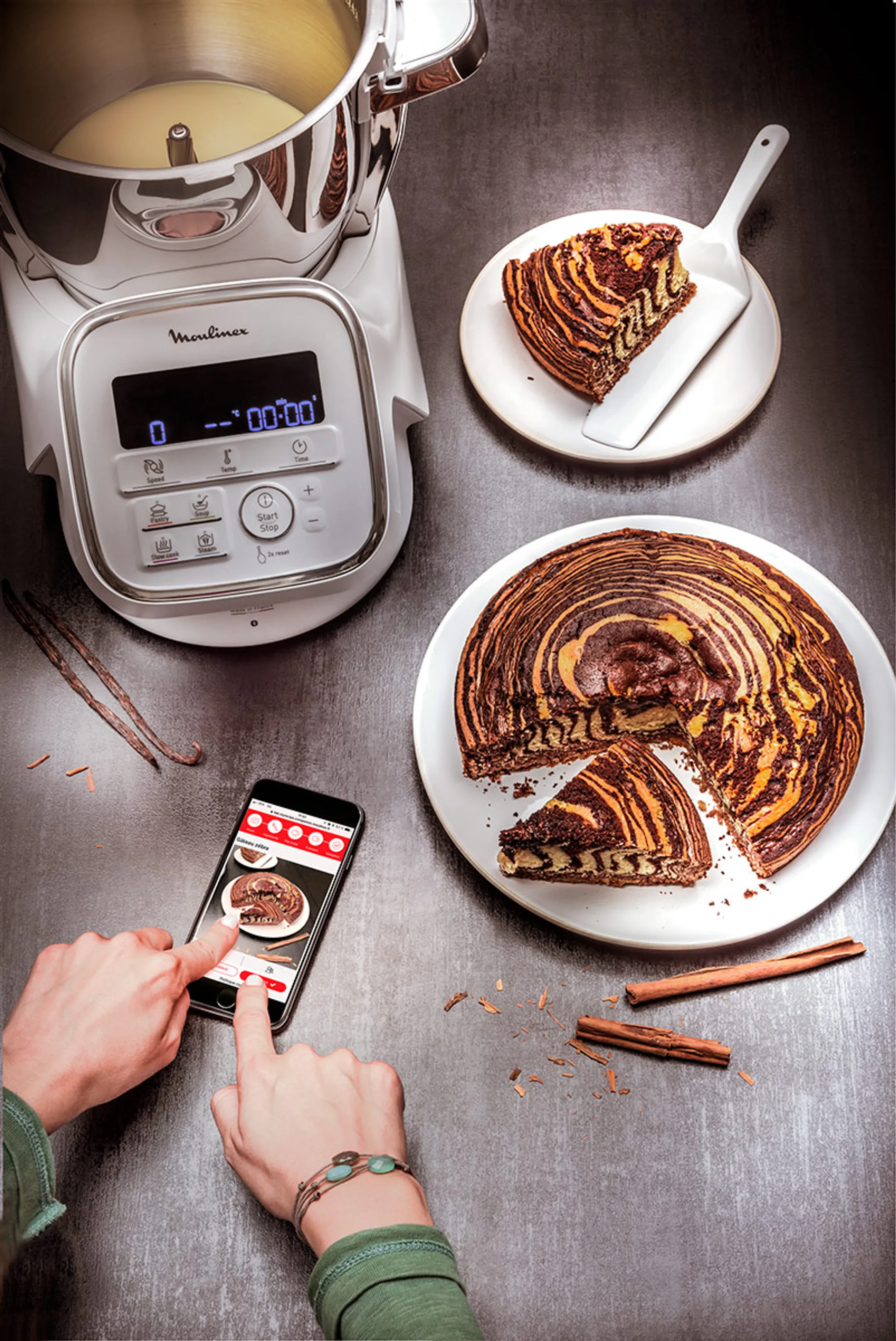 I-Companion XL Gourmet YY4525FG