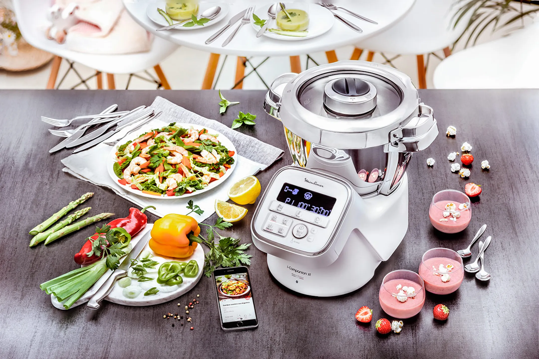 I-Companion XL Gourmet YY4525FG