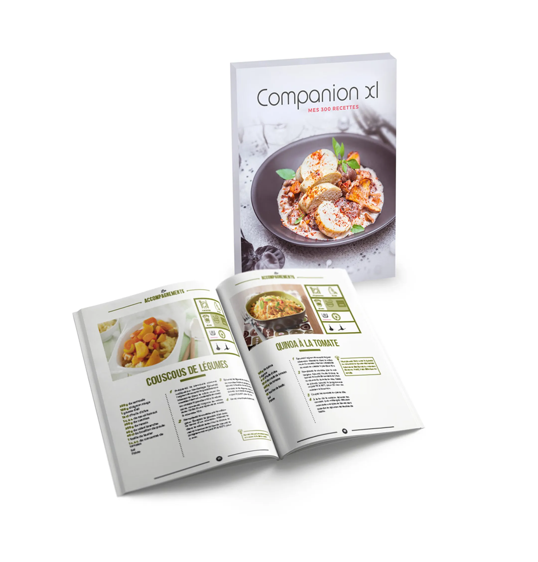 I-Companion XL Gourmet YY4525FG
