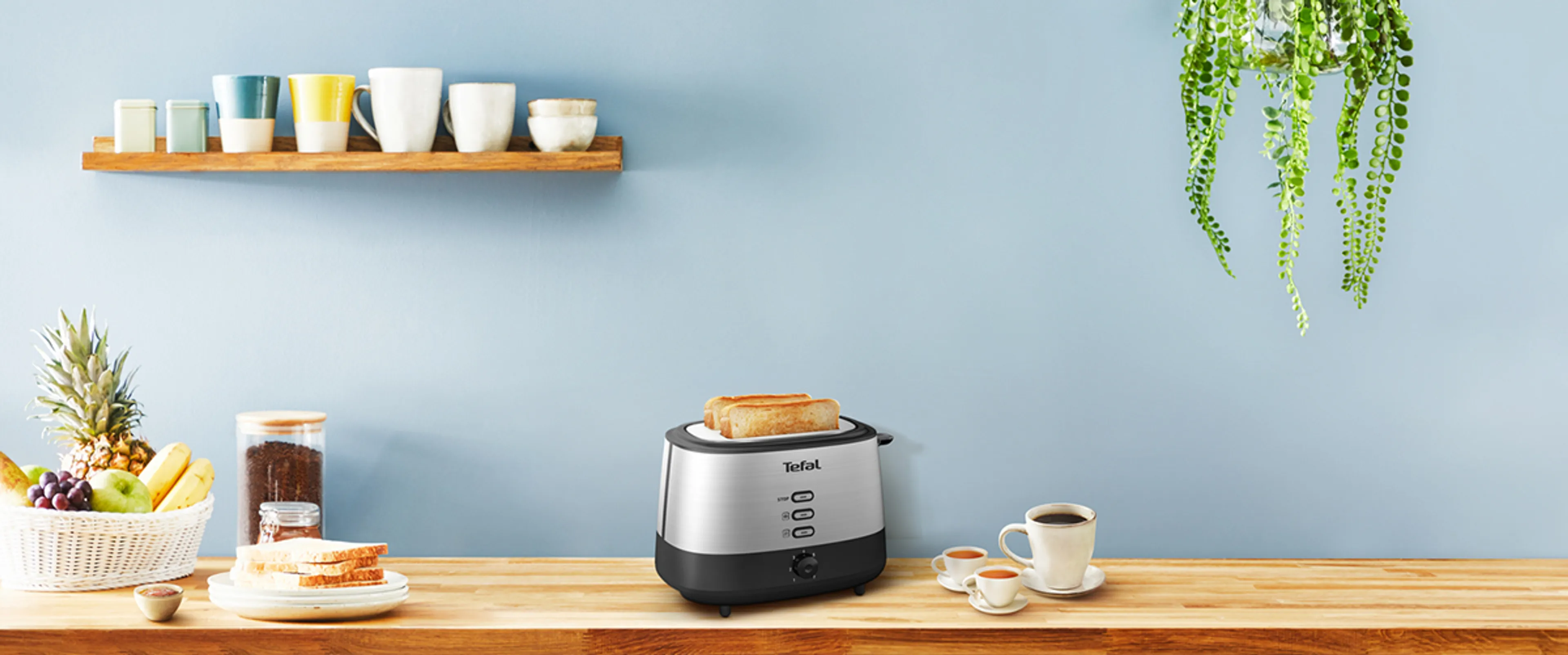Tefal Broodrooster Equinox TT520D10 image