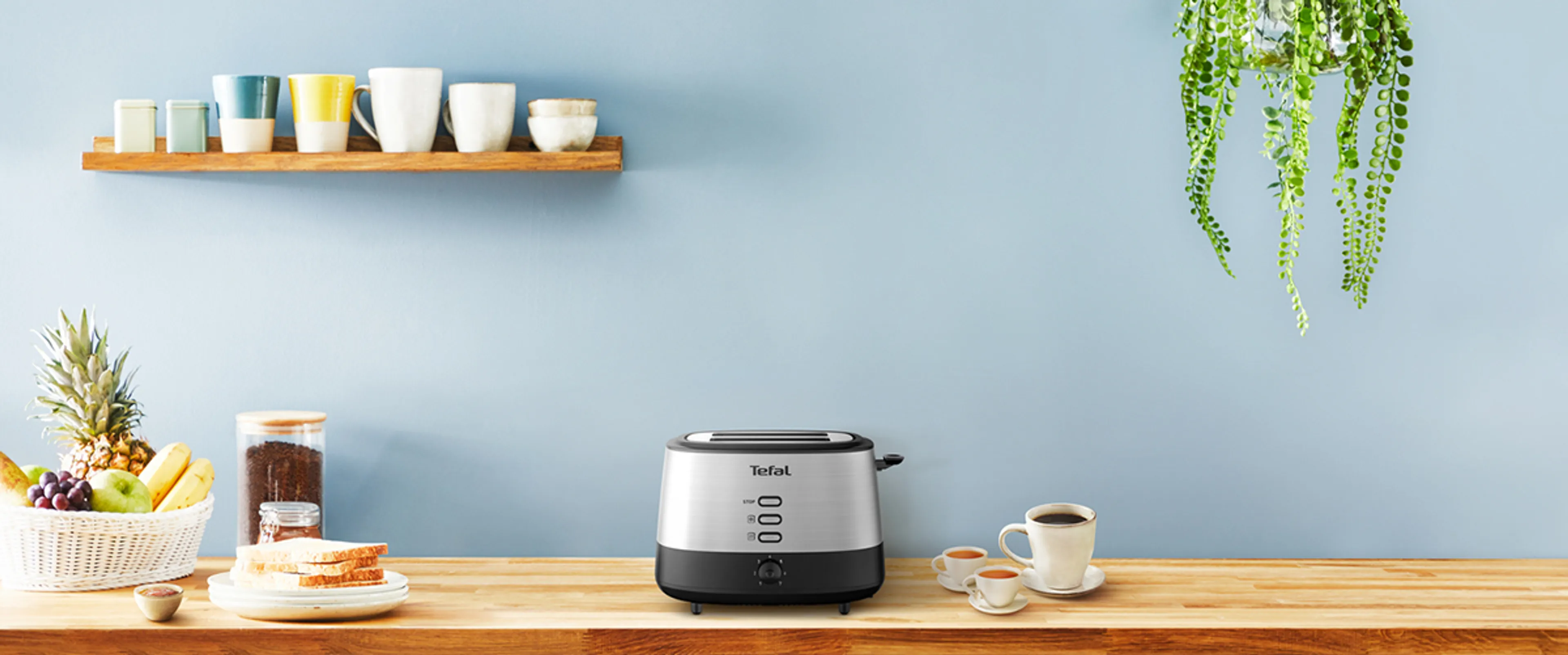 Tefal Broodrooster Equinox TT520D10 image