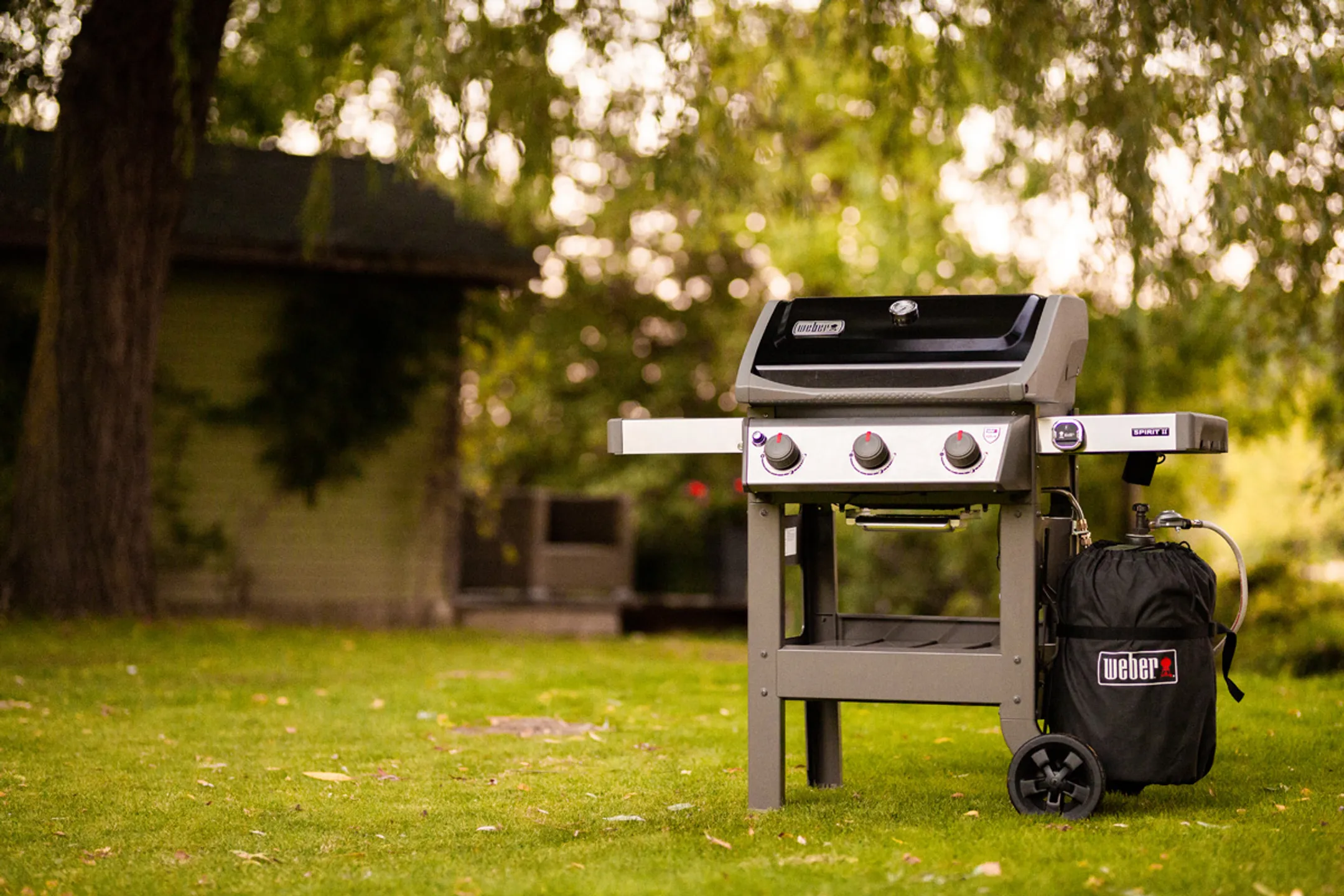 Weber Gasbarbecue Spirit II E-310 image