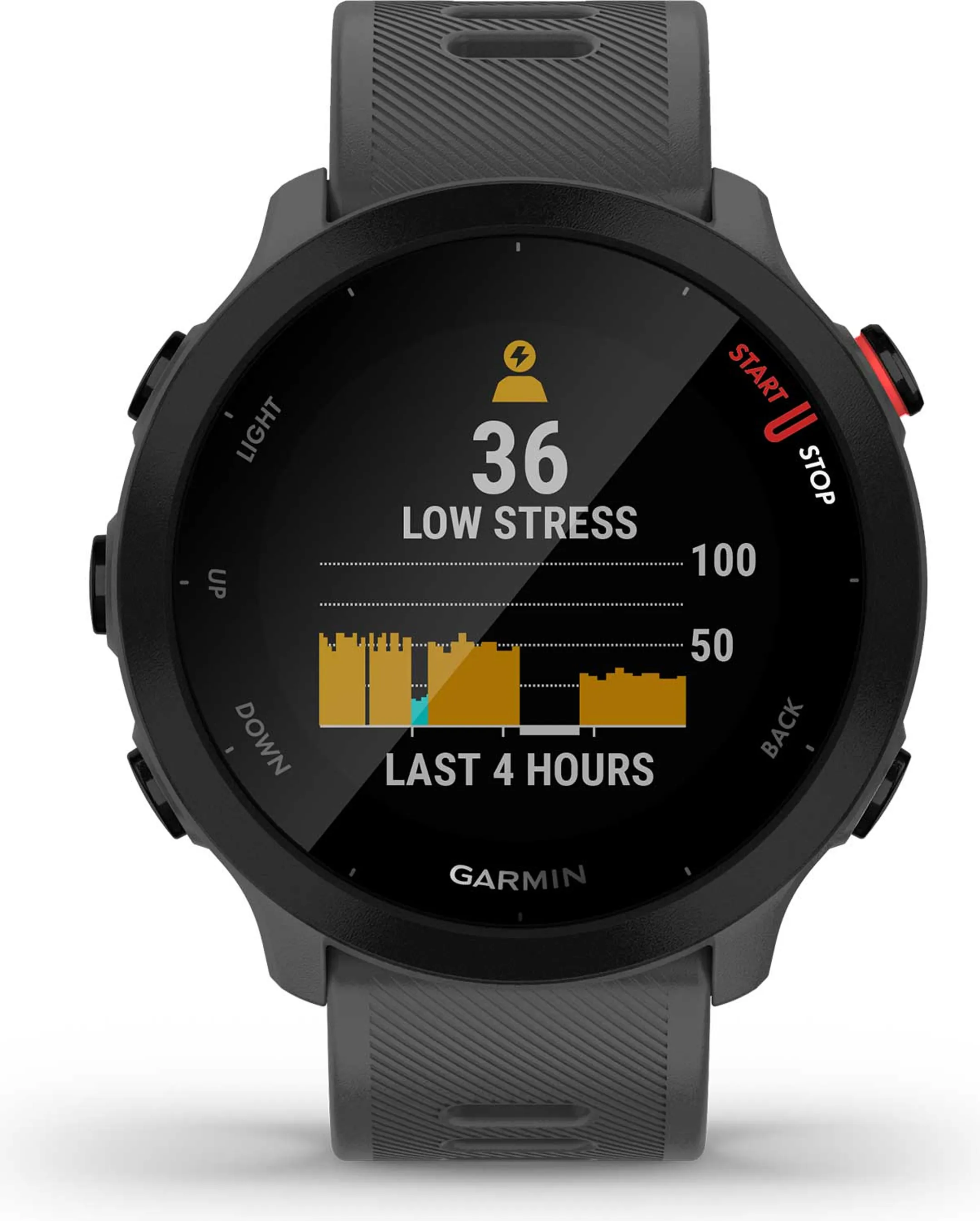 Garmin Forerunner 55 - Grijs image