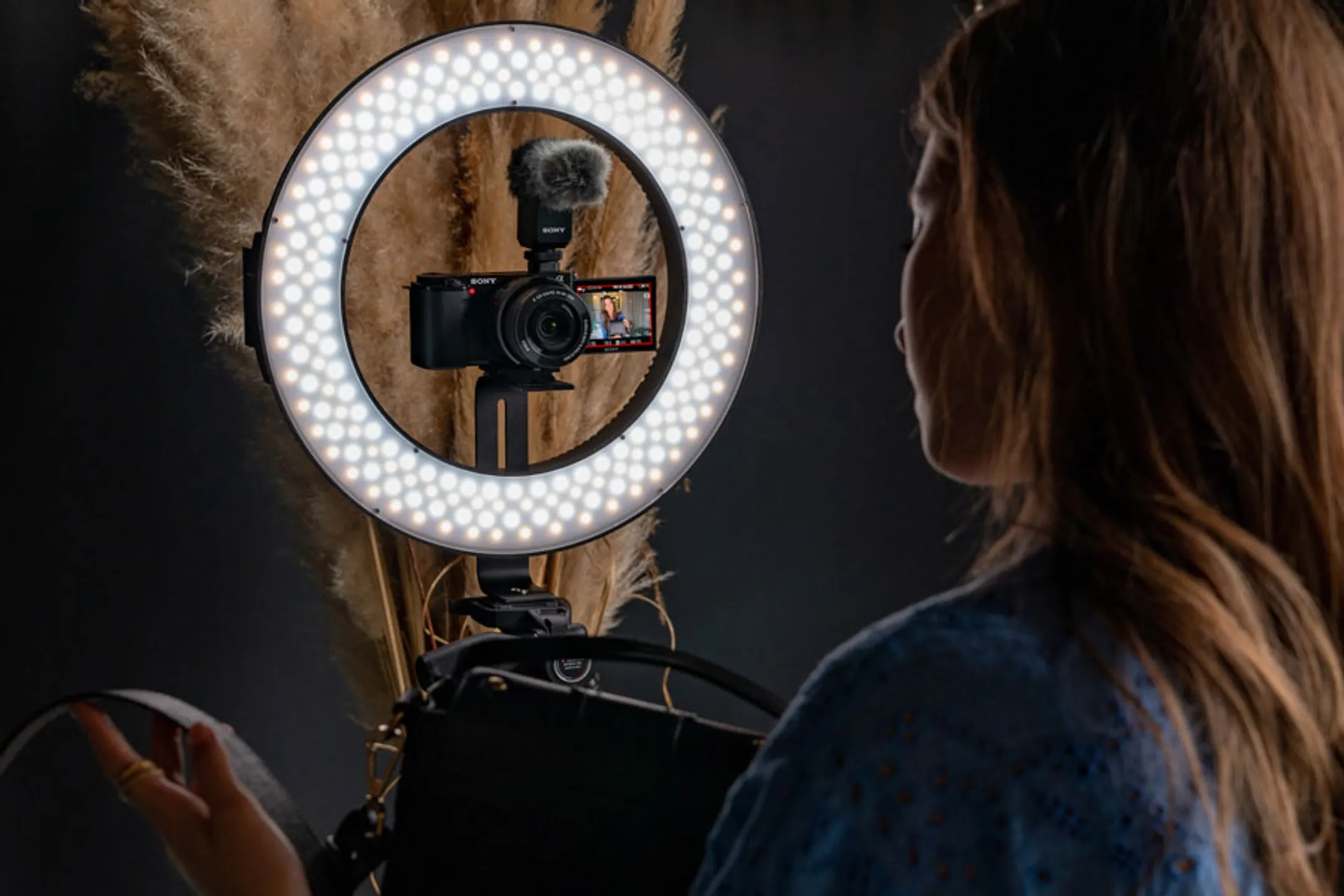 Sony Appareil photo vlog ZV-E10 + 16-50 mm image