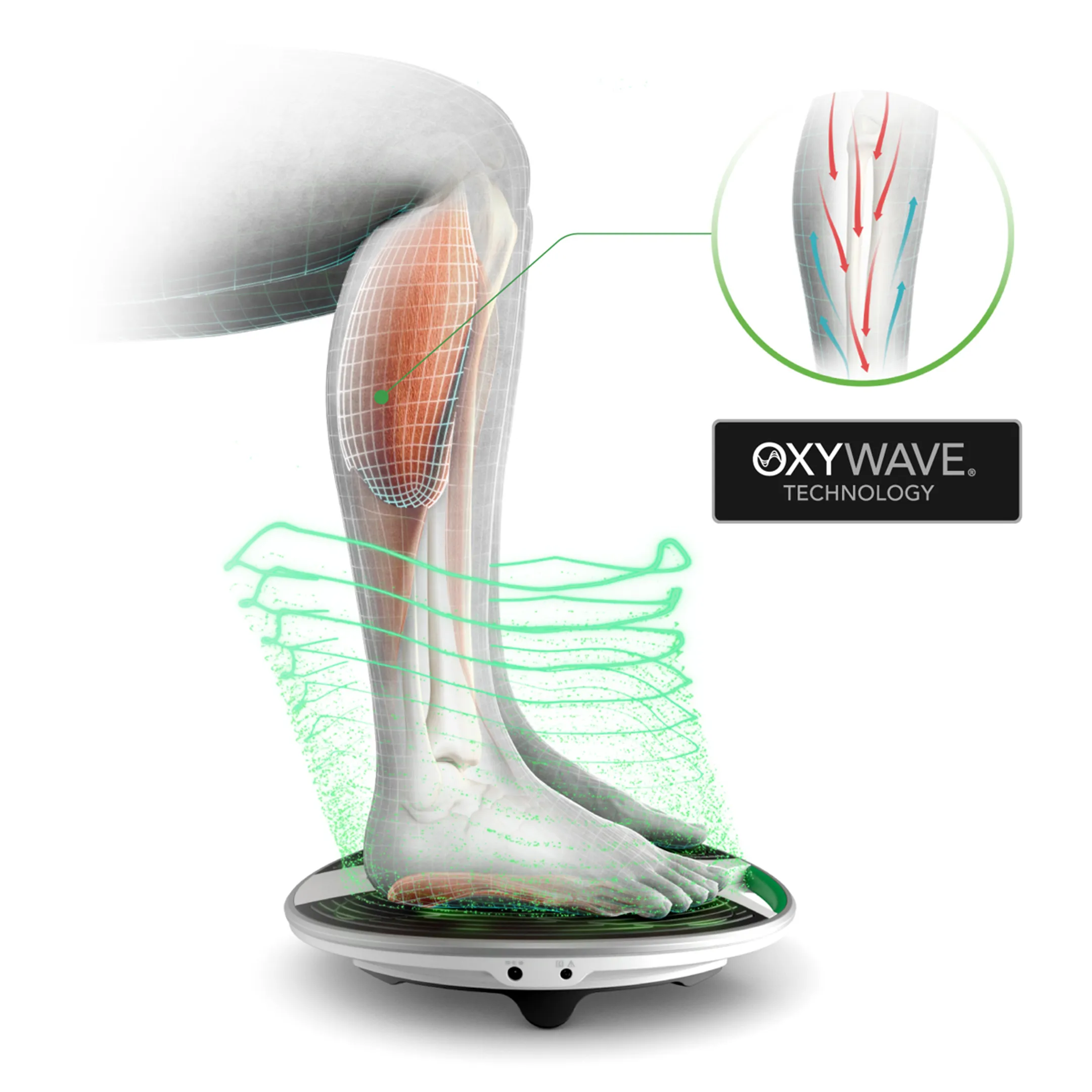 Revitive Bloedsomloopstimulator Revitive Medic image