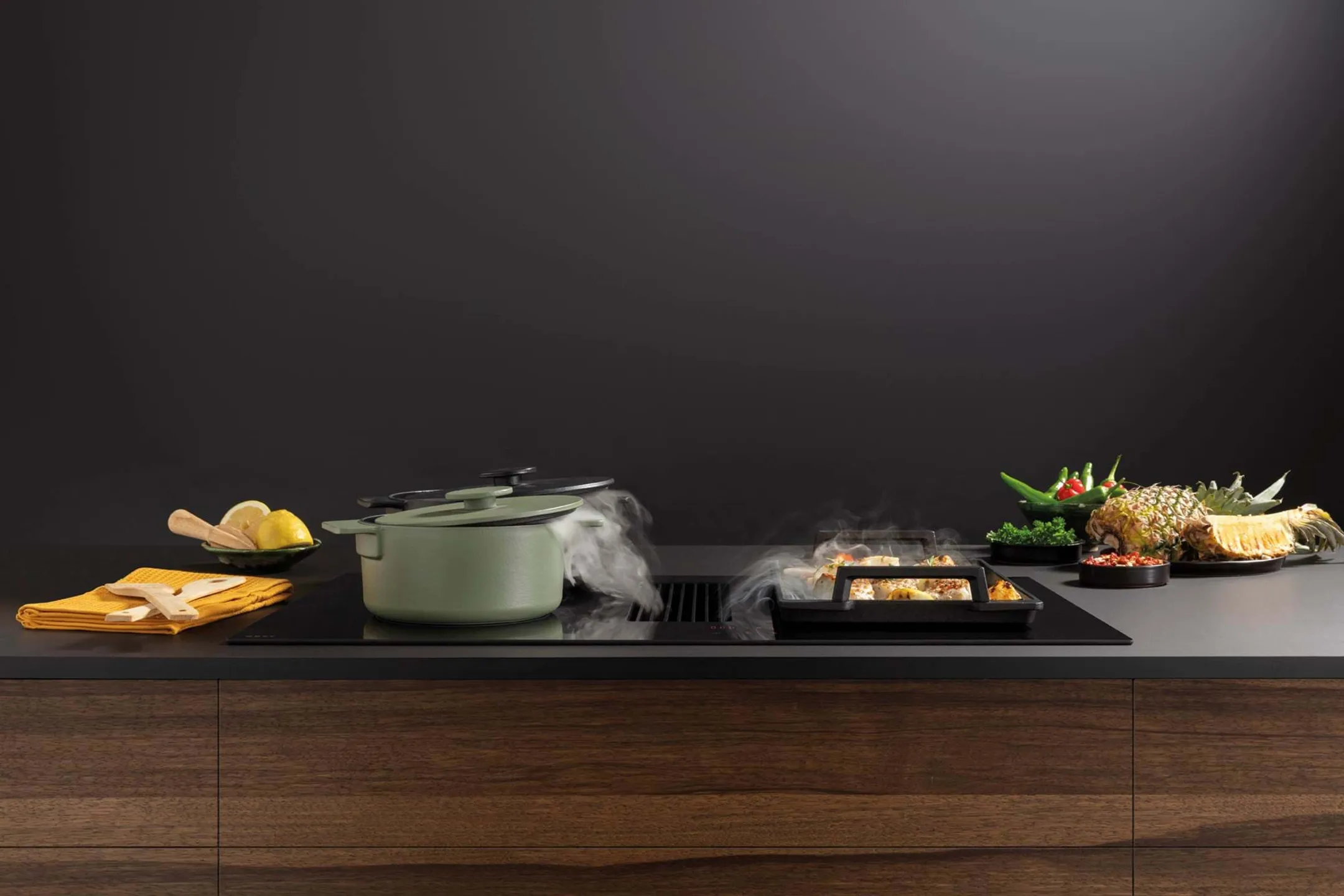 Kookplaat met dampkap Easy Pro 1851