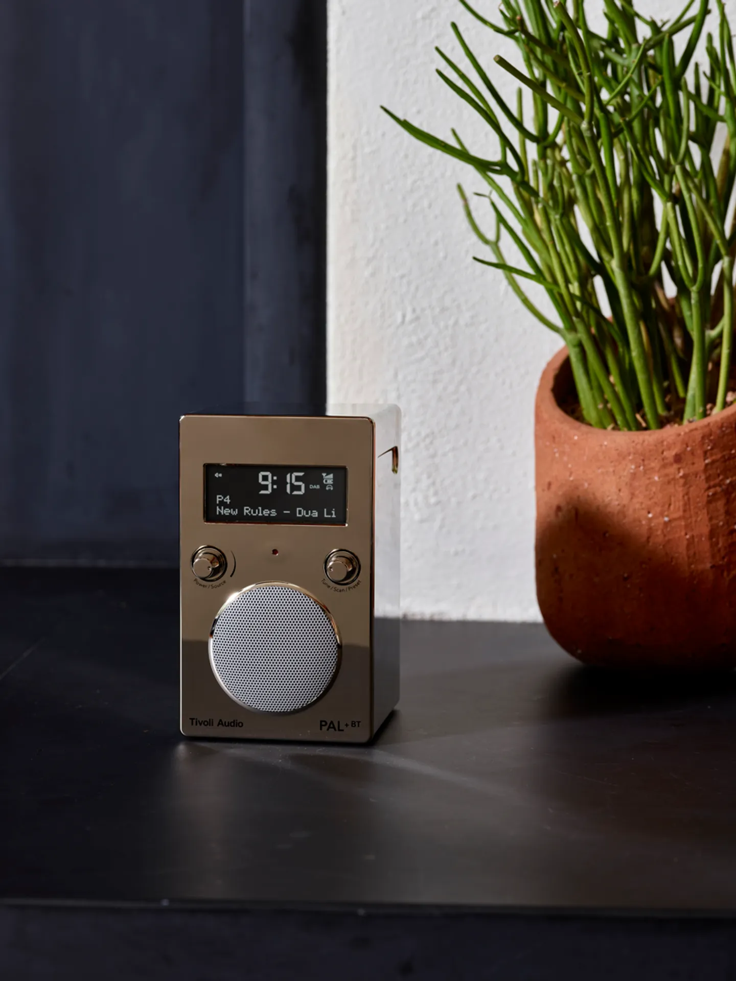 Tivoli audio DAB+ radio PAL+ BT Chrome Bestel nu, in huis