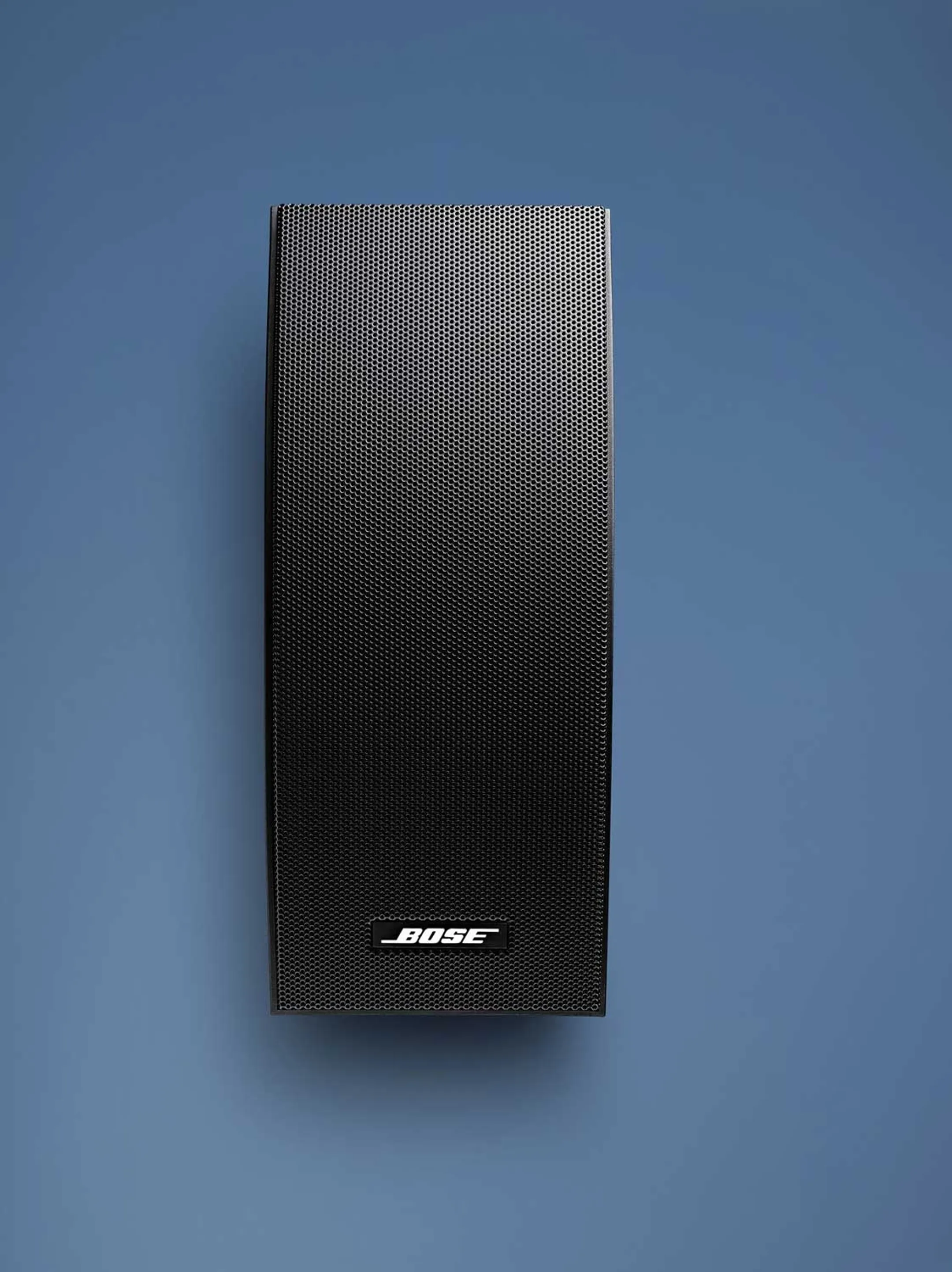 Bose Haut-parleurs d'extérieur Diverse 251 - Noir image