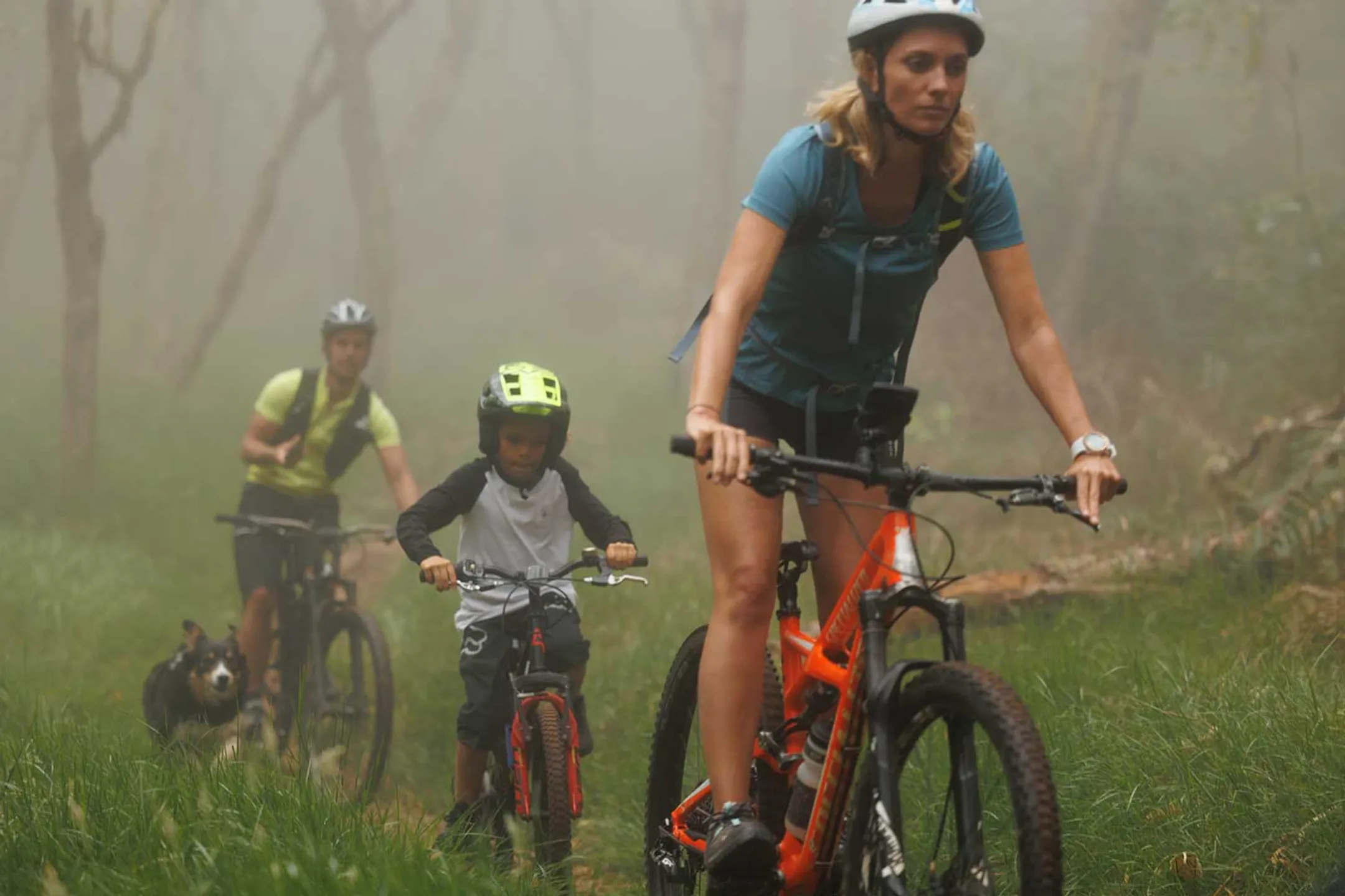 Crosscall Action-X5 image