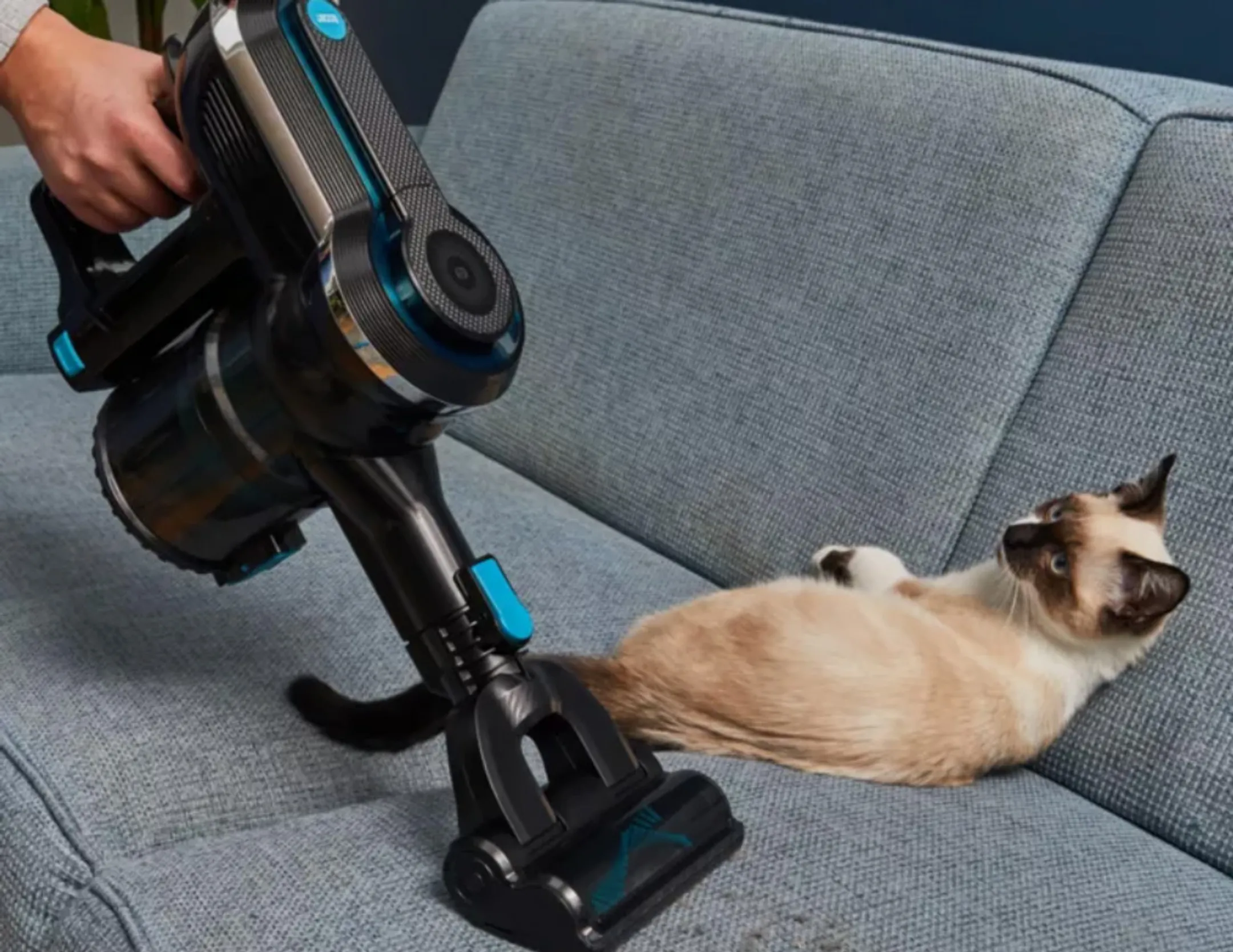 Essentiel-B Aspirateur balai 216 Pet Aqua image