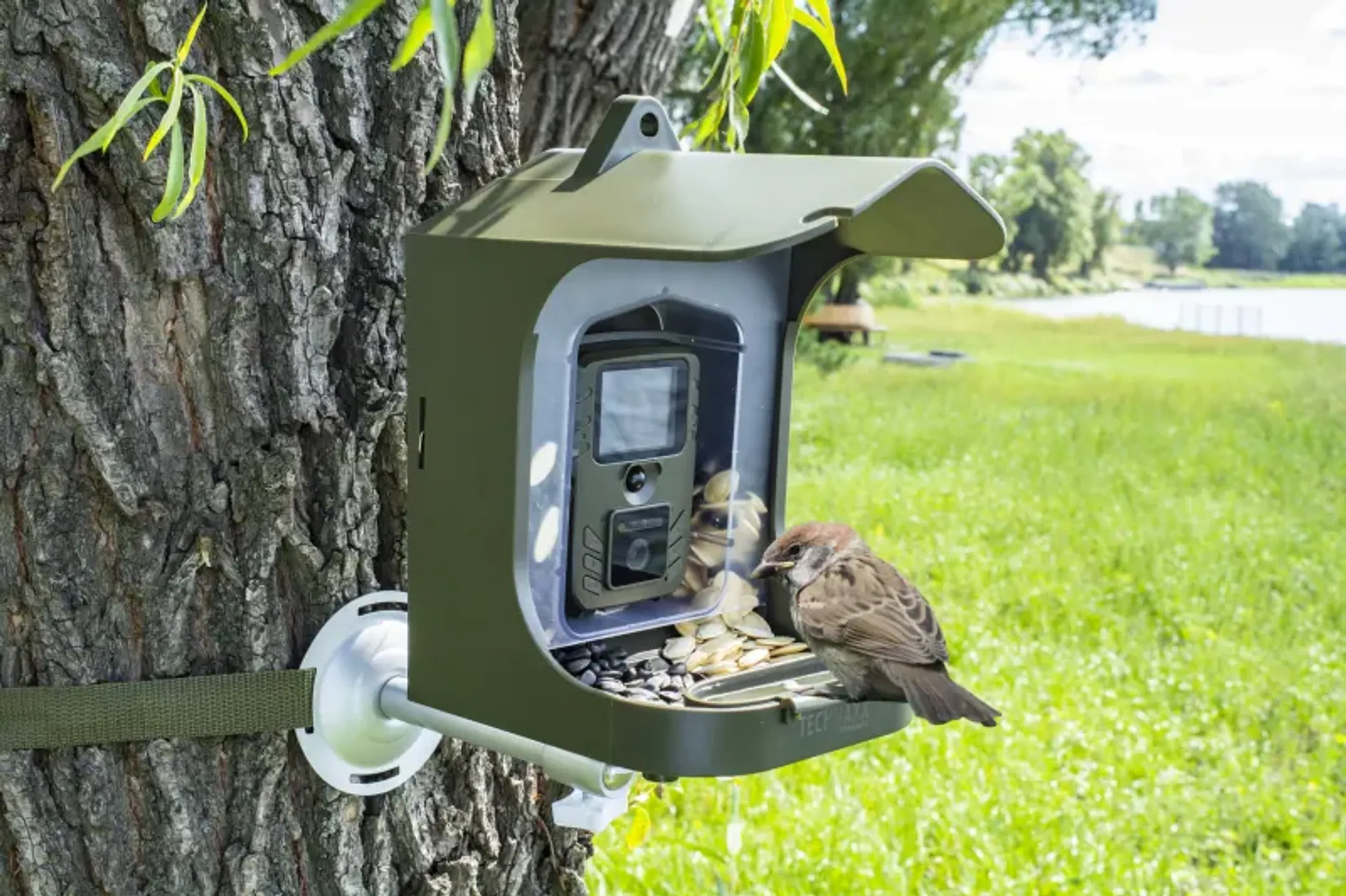 Technaxx Caméra pour oiseaux Full HD TX-165 image