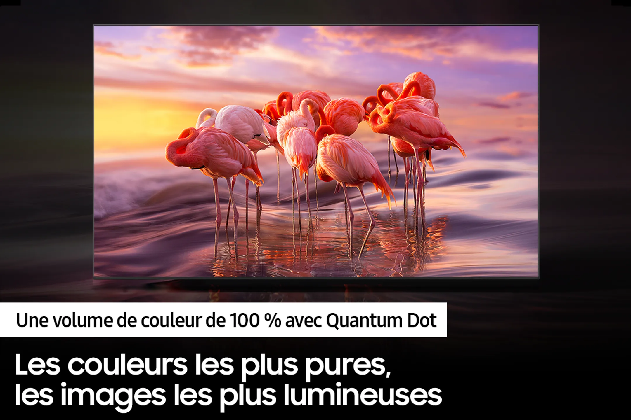 TV QLED 4K QE50Q65B (2022) - 50 inch