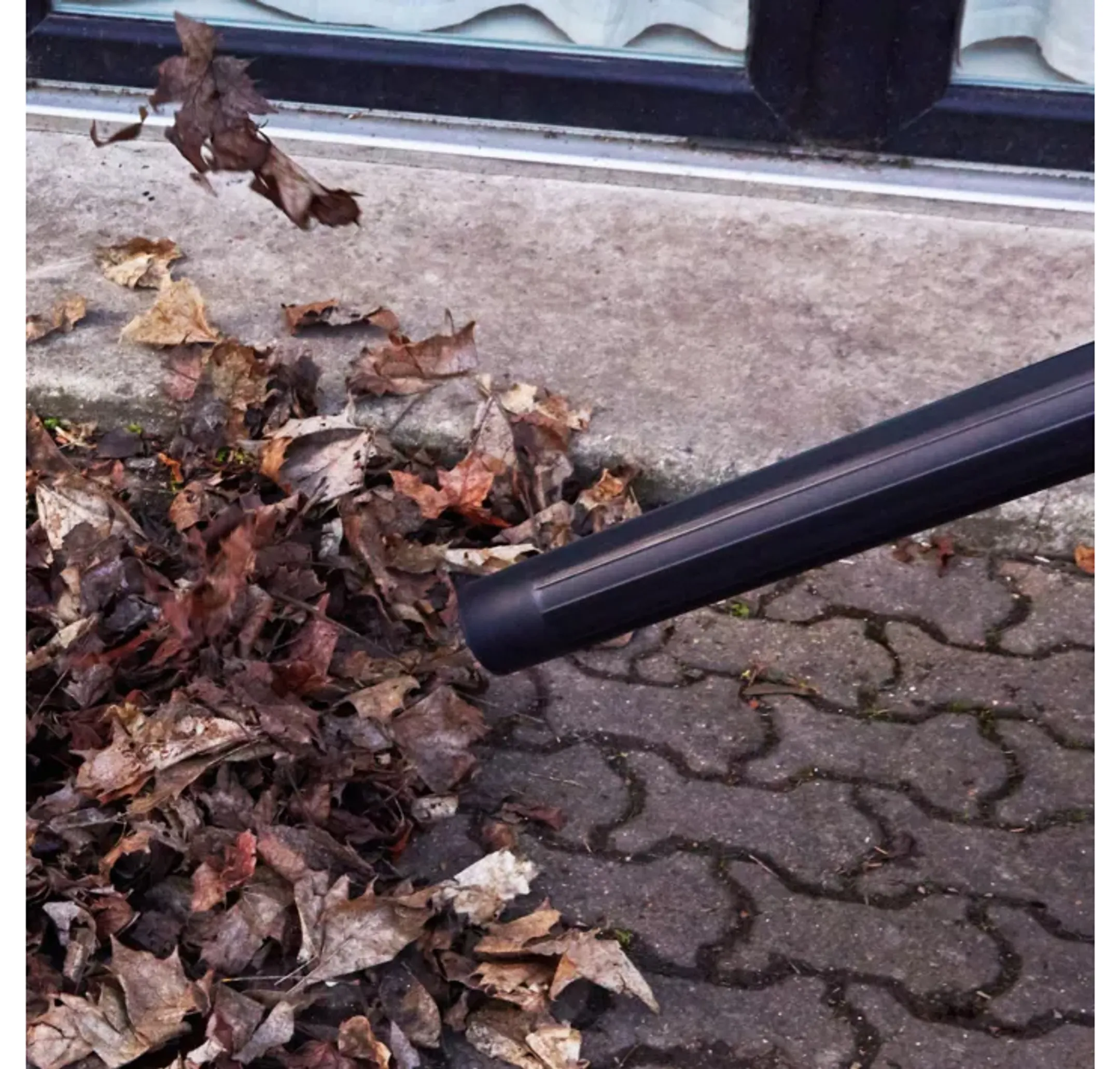 Essentiel-B Aspirateur avale-tout EAC 204 image