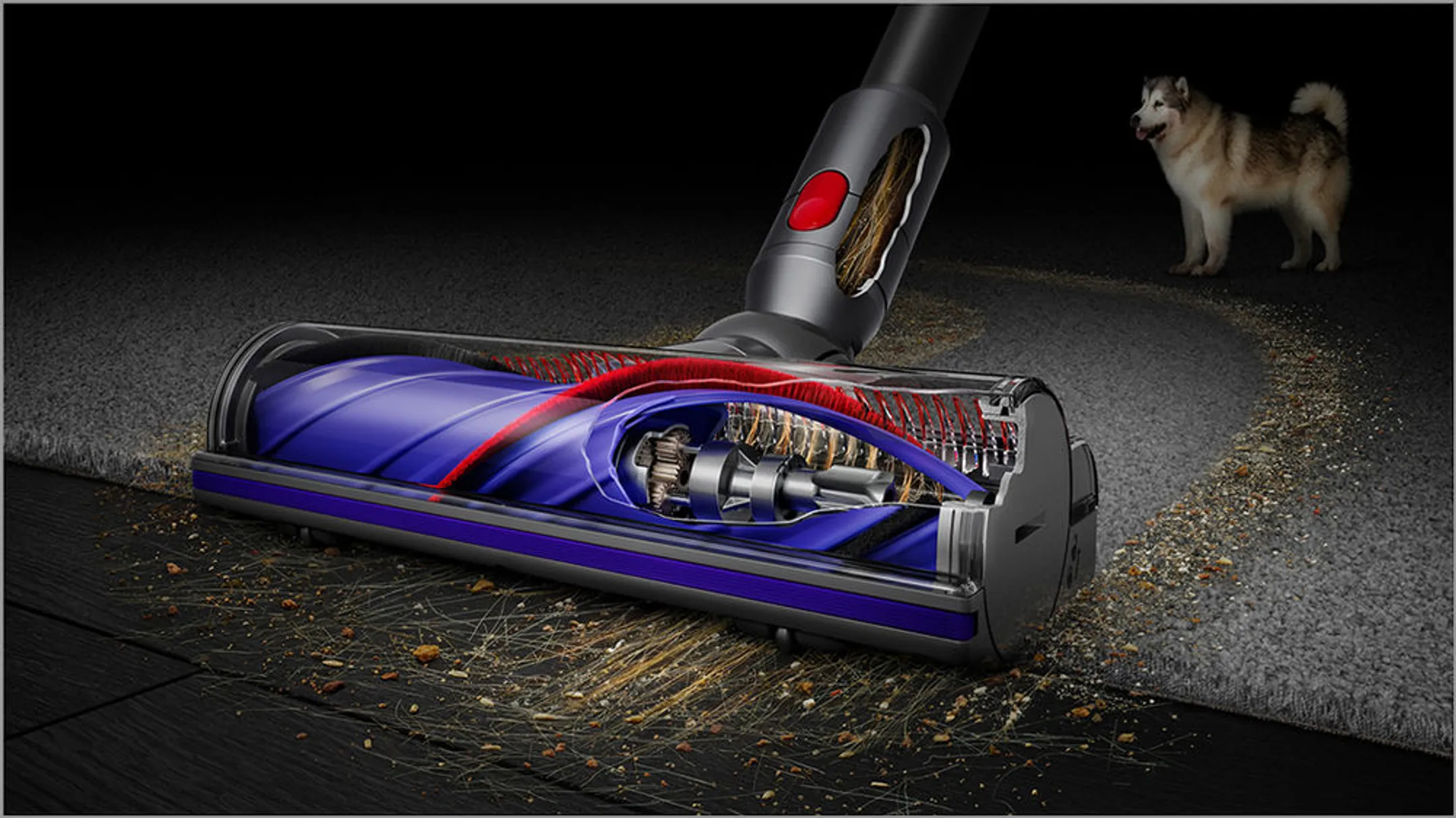 Dyson Aspirateur balai V12 Detect Slim Absolute 2022 image